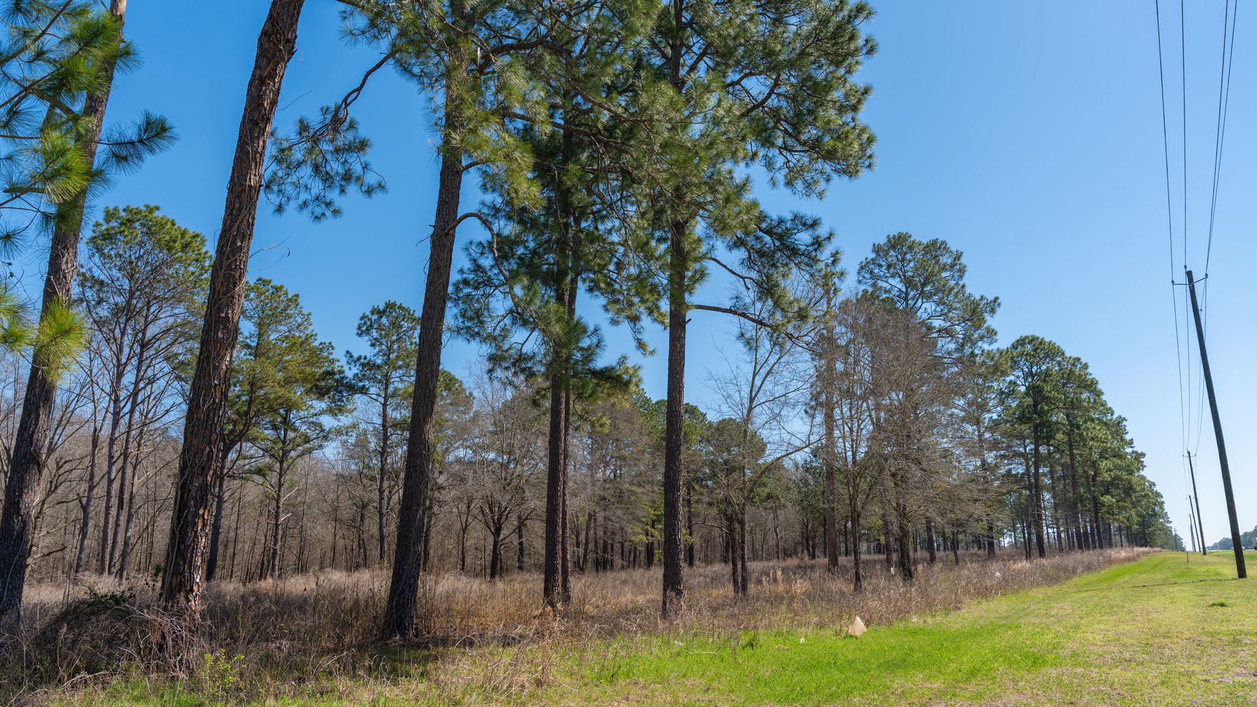 Image for 48.40+/- Acres - Oakland Plantation Commercial Acreage