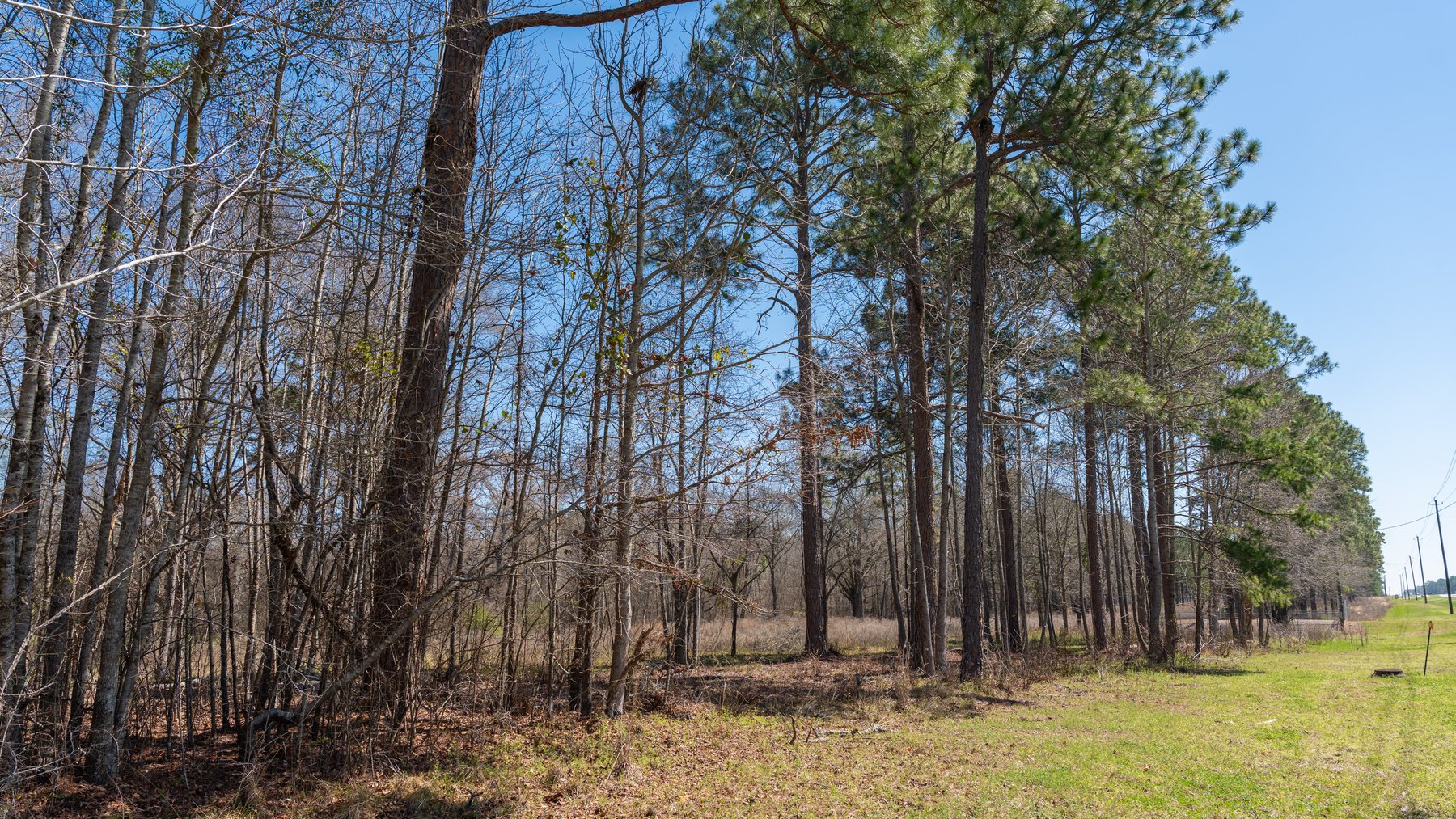 Image for 48.40+/- Acres - Oakland Plantation Commercial Acreage