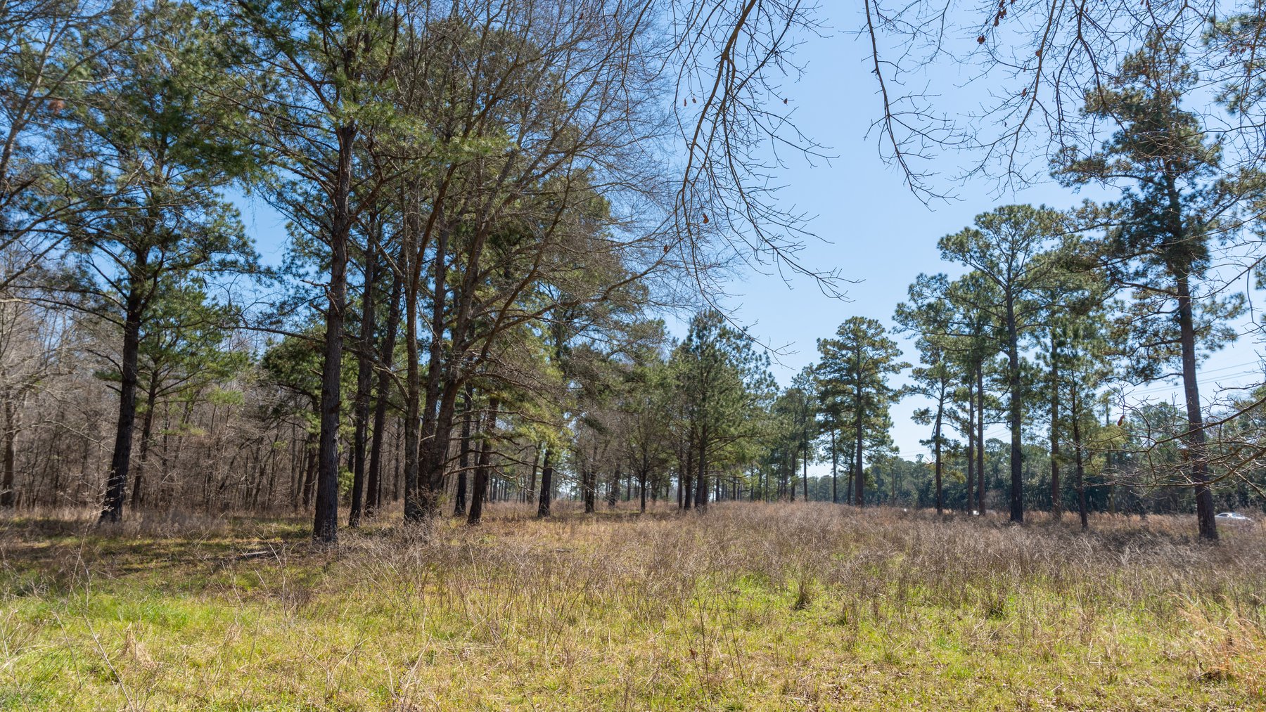 Image for 48.40+/- Acres - Oakland Plantation Commercial Acreage