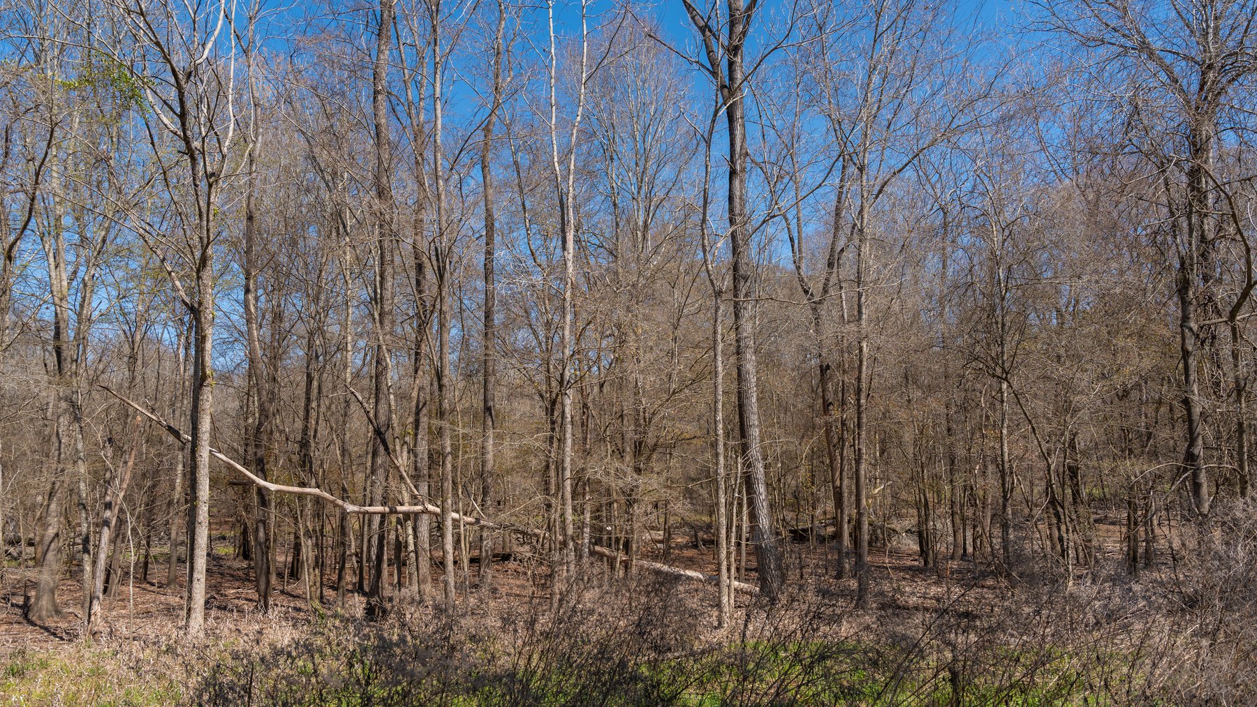 Image for 48.40+/- Acres - Oakland Plantation Commercial Acreage