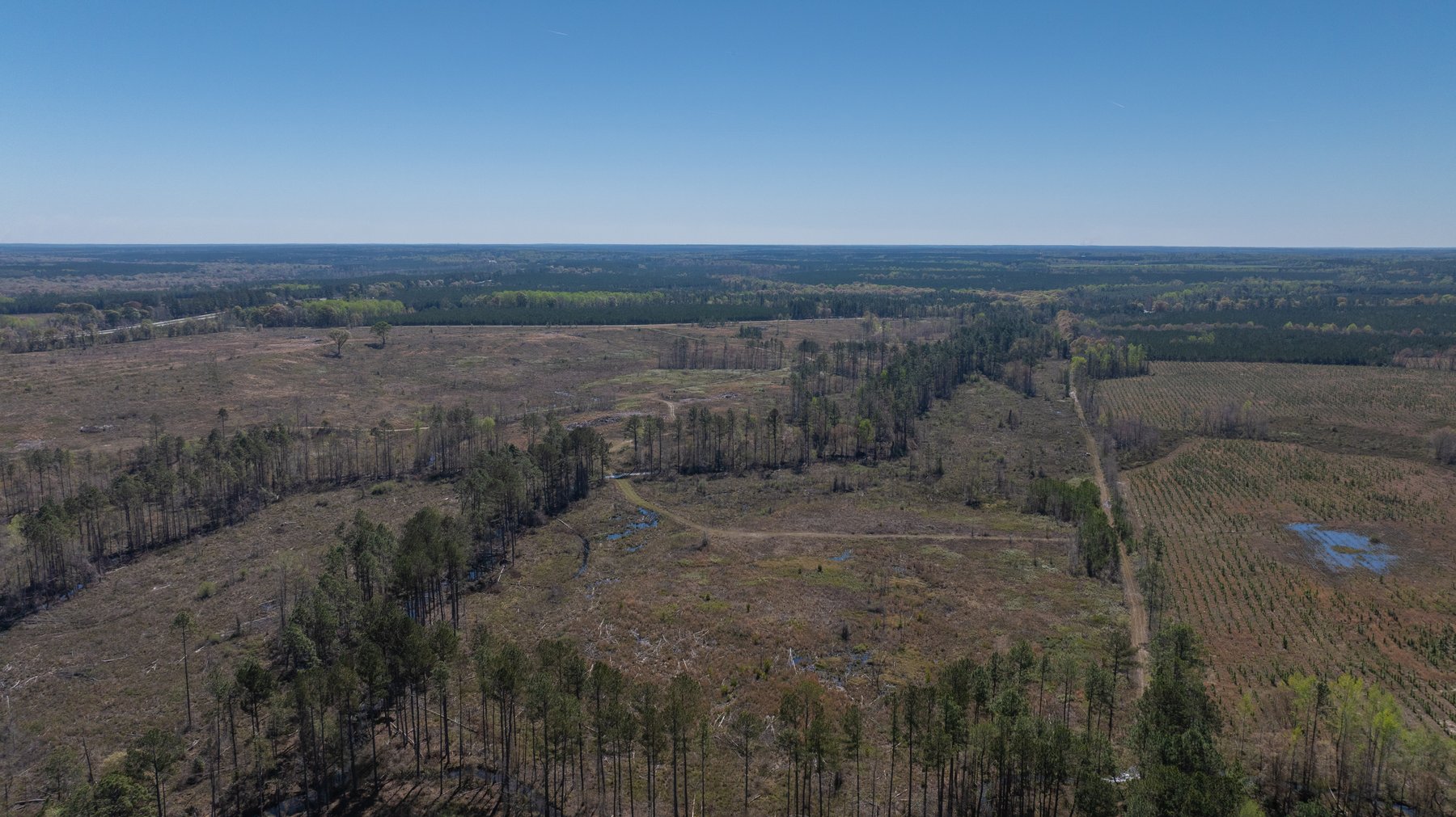Image for The Sugar Creek Tract - Premier Hunting & Investment Opportunity - 252+/- Acres in Dodge County, Georgia