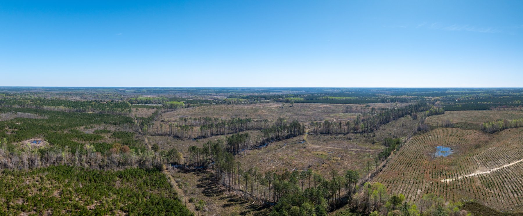Image for The Sugar Creek Tract - Premier Hunting & Investment Opportunity - 252+/- Acres in Dodge County, Georgia