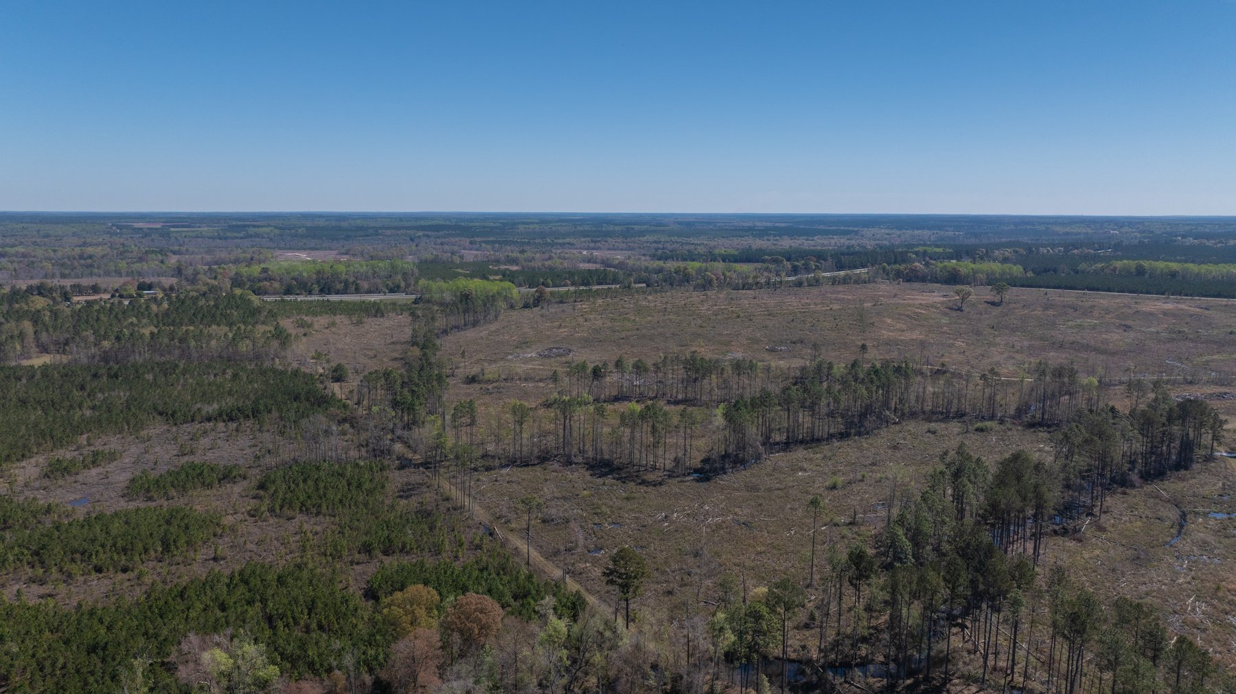 Image for The Sugar Creek Tract - Premier Hunting & Investment Opportunity - 252+/- Acres in Dodge County, Georgia