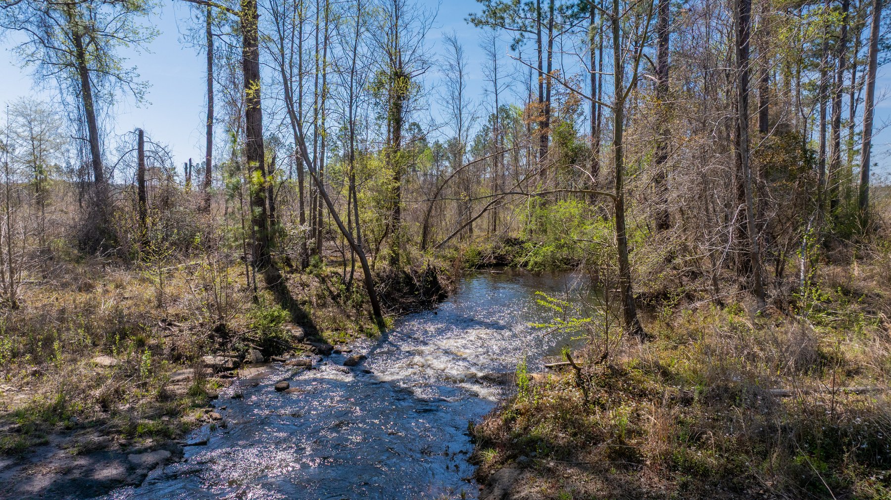 Image for The Sugar Creek Tract - Premier Hunting & Investment Opportunity - 252+/- Acres in Dodge County, Georgia