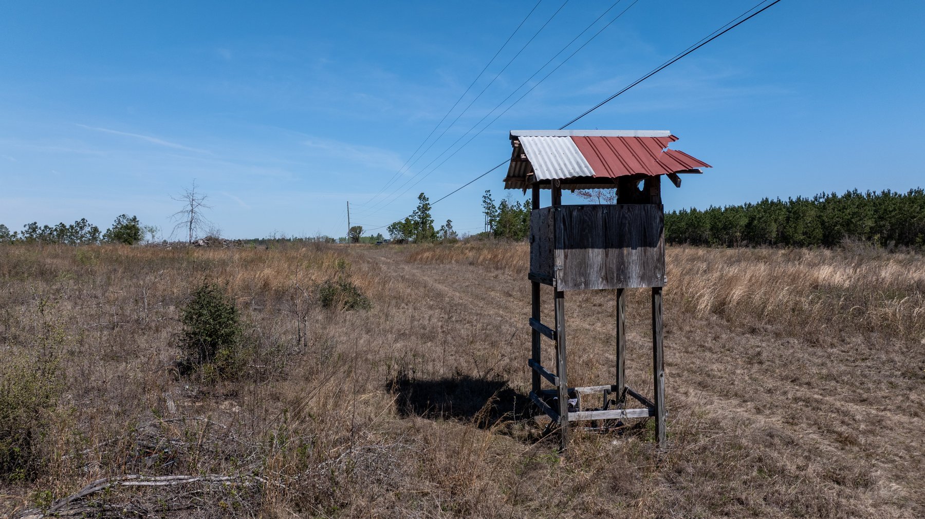 Image for The Sugar Creek Tract - Premier Hunting & Investment Opportunity - 252+/- Acres in Dodge County, Georgia