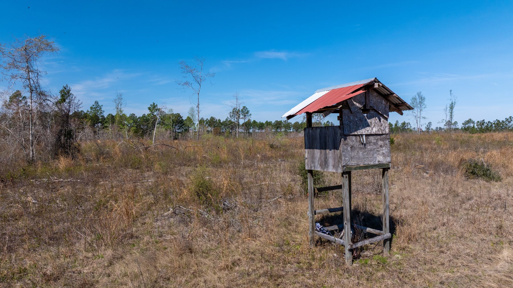Image for The Sugar Creek Tract - Premier Hunting & Investment Opportunity - 252+/- Acres in Dodge County, Georgia