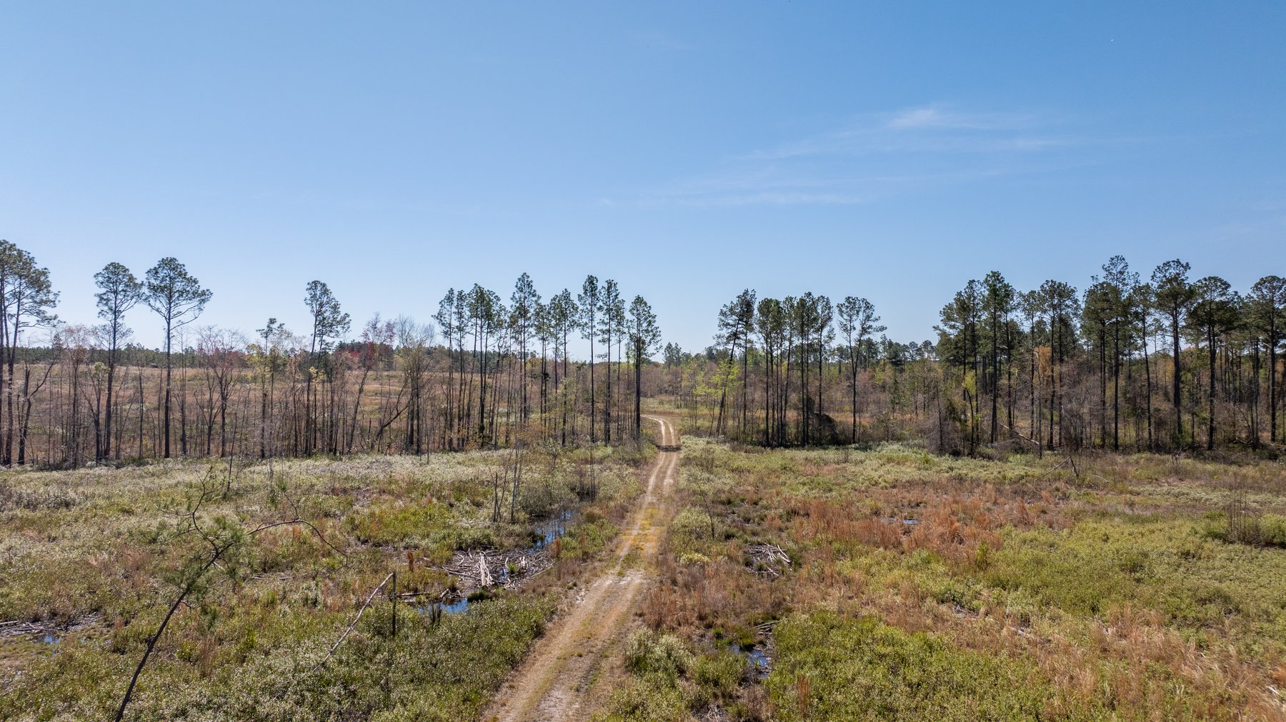 Image for The Sugar Creek Tract - Premier Hunting & Investment Opportunity - 252+/- Acres in Dodge County, Georgia