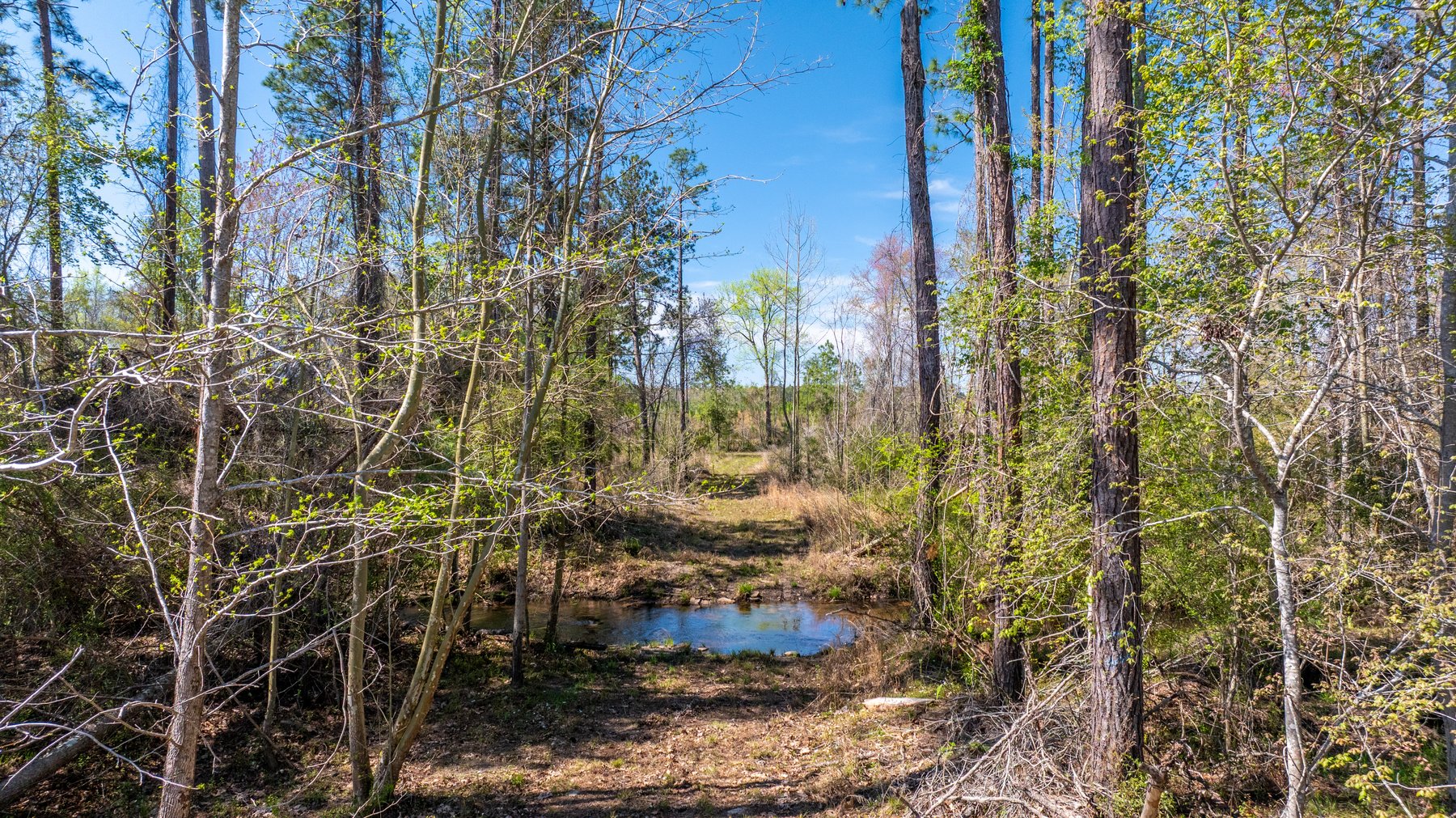 Image for The Sugar Creek Tract - Premier Hunting & Investment Opportunity - 252+/- Acres in Dodge County, Georgia