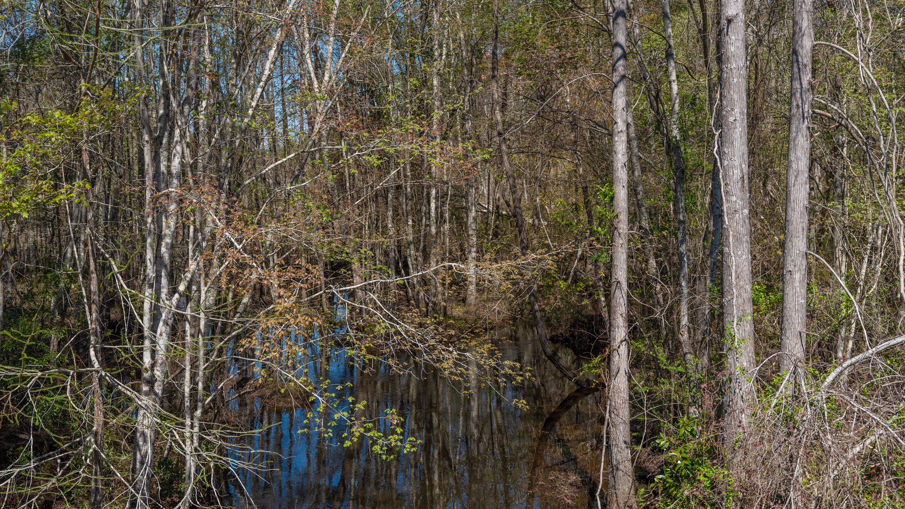 Image for The Sugar Creek Tract - Premier Hunting & Investment Opportunity - 252+/- Acres in Dodge County, Georgia