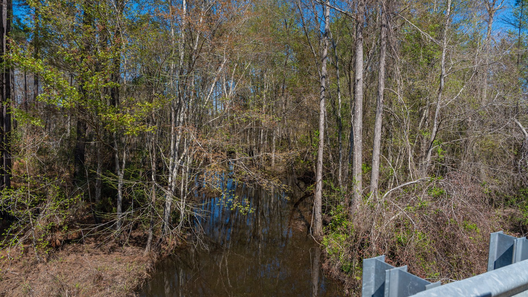 Image for The Sugar Creek Tract - Premier Hunting & Investment Opportunity - 252+/- Acres in Dodge County, Georgia