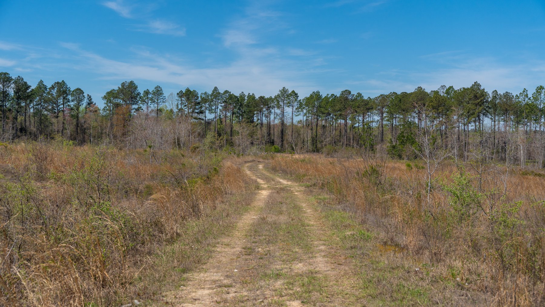 Image for The Sugar Creek Tract - Premier Hunting & Investment Opportunity - 252+/- Acres in Dodge County, Georgia