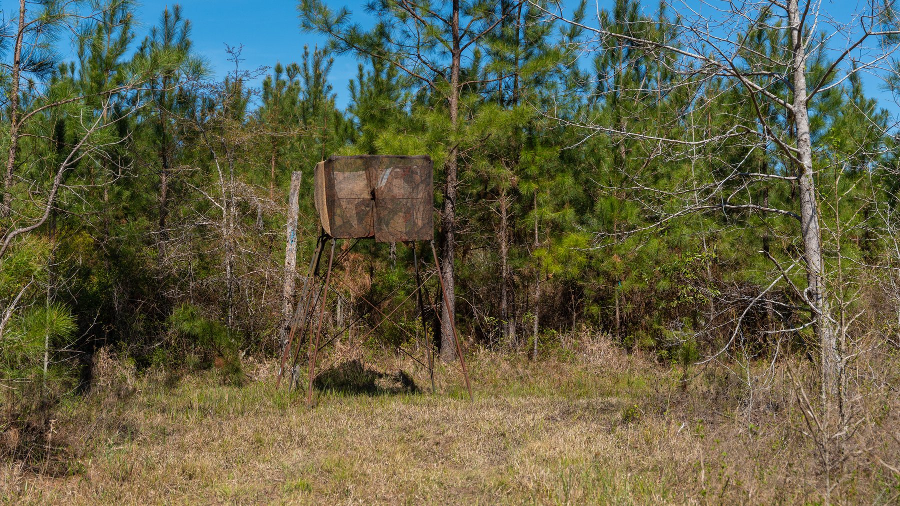 Image for The Sugar Creek Tract - Premier Hunting & Investment Opportunity - 252+/- Acres in Dodge County, Georgia