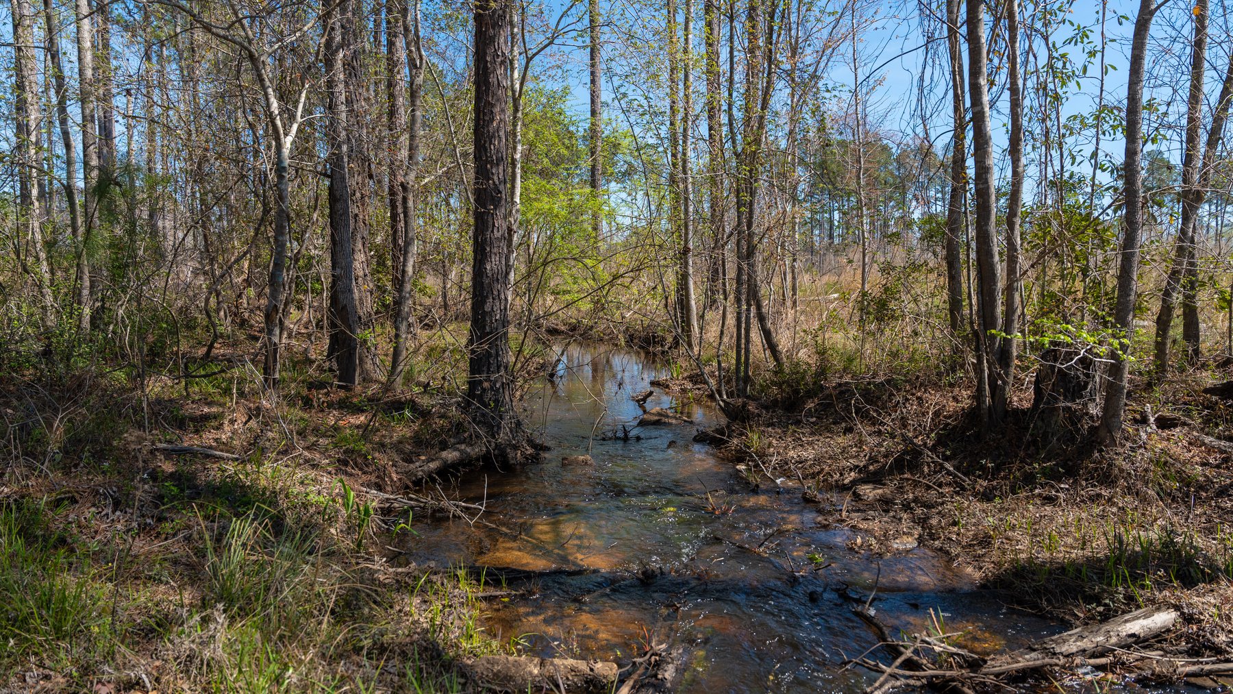 Image for The Sugar Creek Tract - Premier Hunting & Investment Opportunity - 252+/- Acres in Dodge County, Georgia