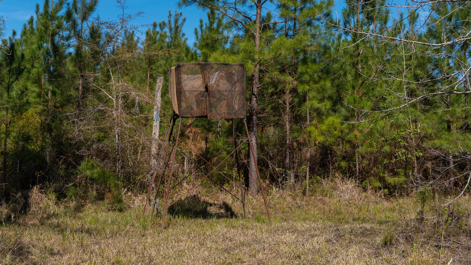 Image for The Sugar Creek Tract - Premier Hunting & Investment Opportunity - 252+/- Acres in Dodge County, Georgia