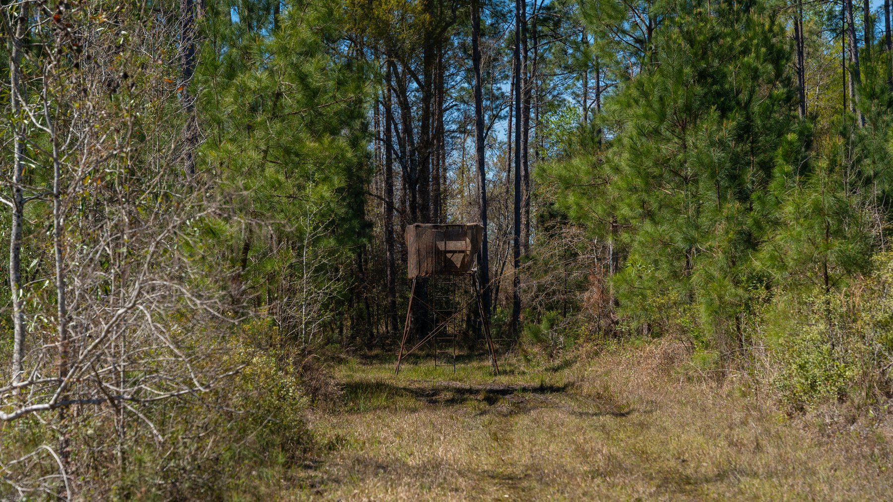Image for The Sugar Creek Tract - Premier Hunting & Investment Opportunity - 252+/- Acres in Dodge County, Georgia