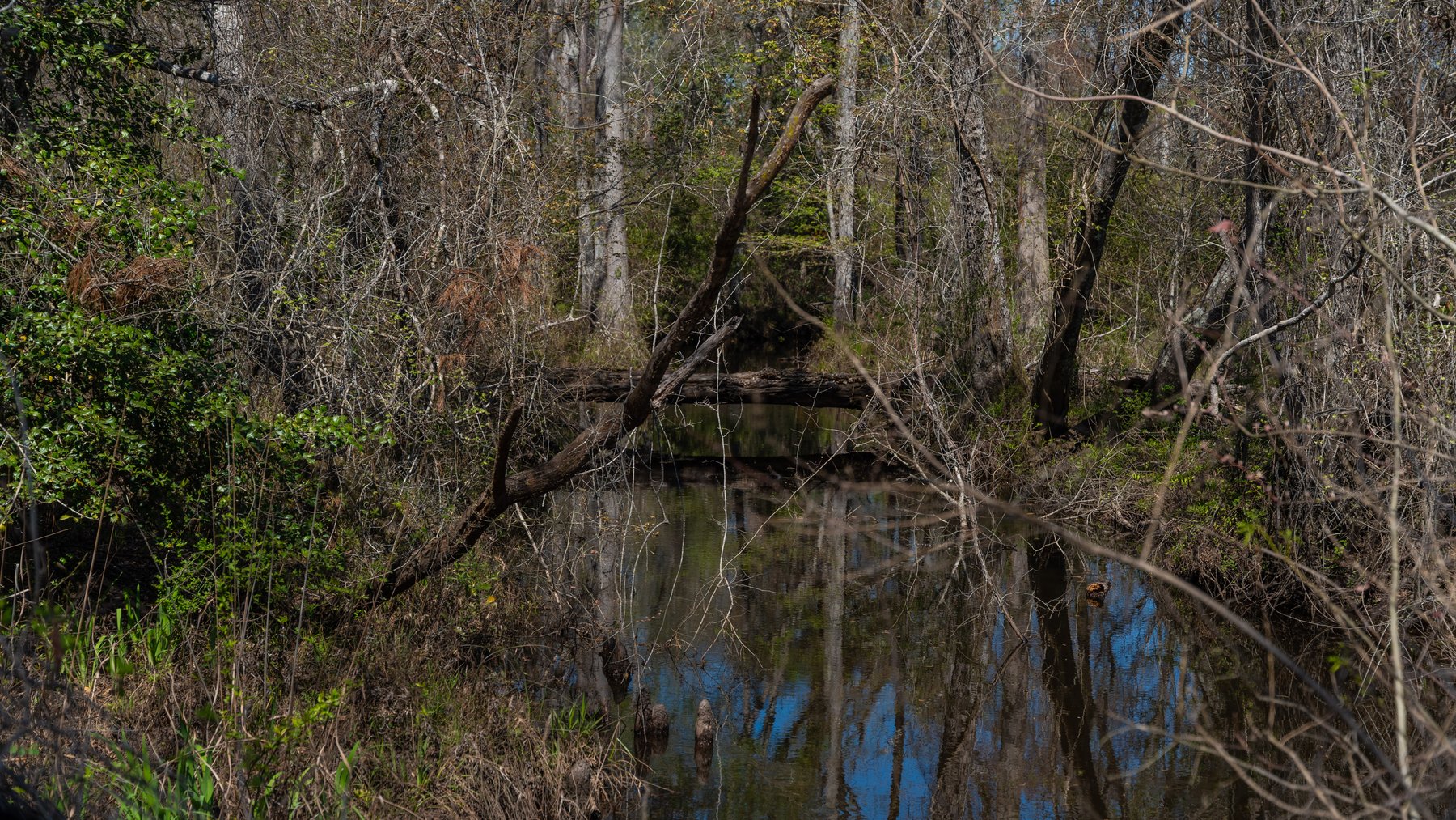 Image for The Sugar Creek Tract - Premier Hunting & Investment Opportunity - 252+/- Acres in Dodge County, Georgia