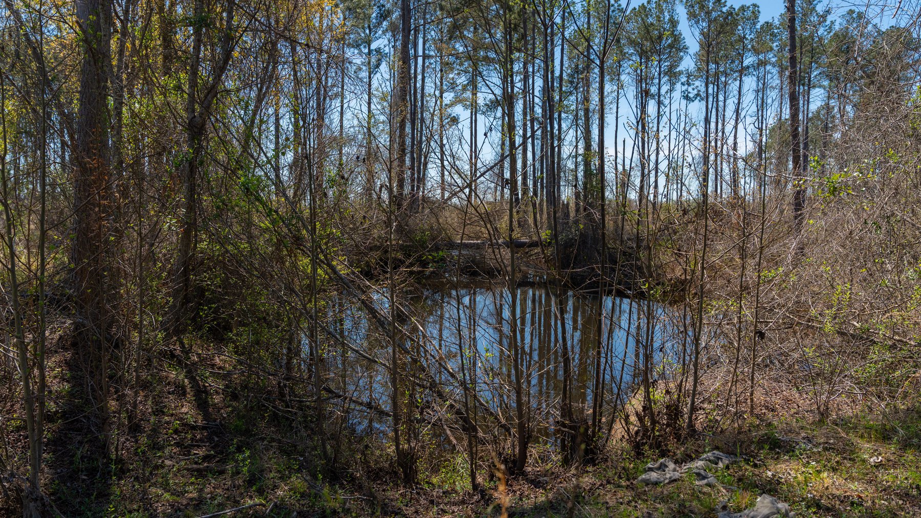 Image for The Sugar Creek Tract - Premier Hunting & Investment Opportunity - 252+/- Acres in Dodge County, Georgia