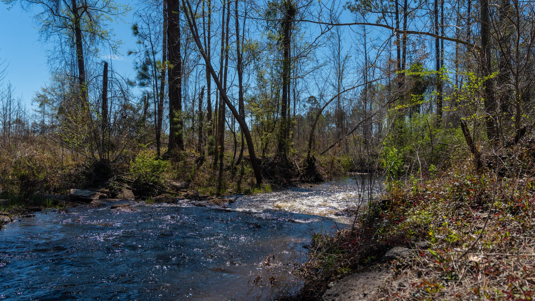 Image for The Sugar Creek Tract - Premier Hunting & Investment Opportunity - 252+/- Acres in Dodge County, Georgia