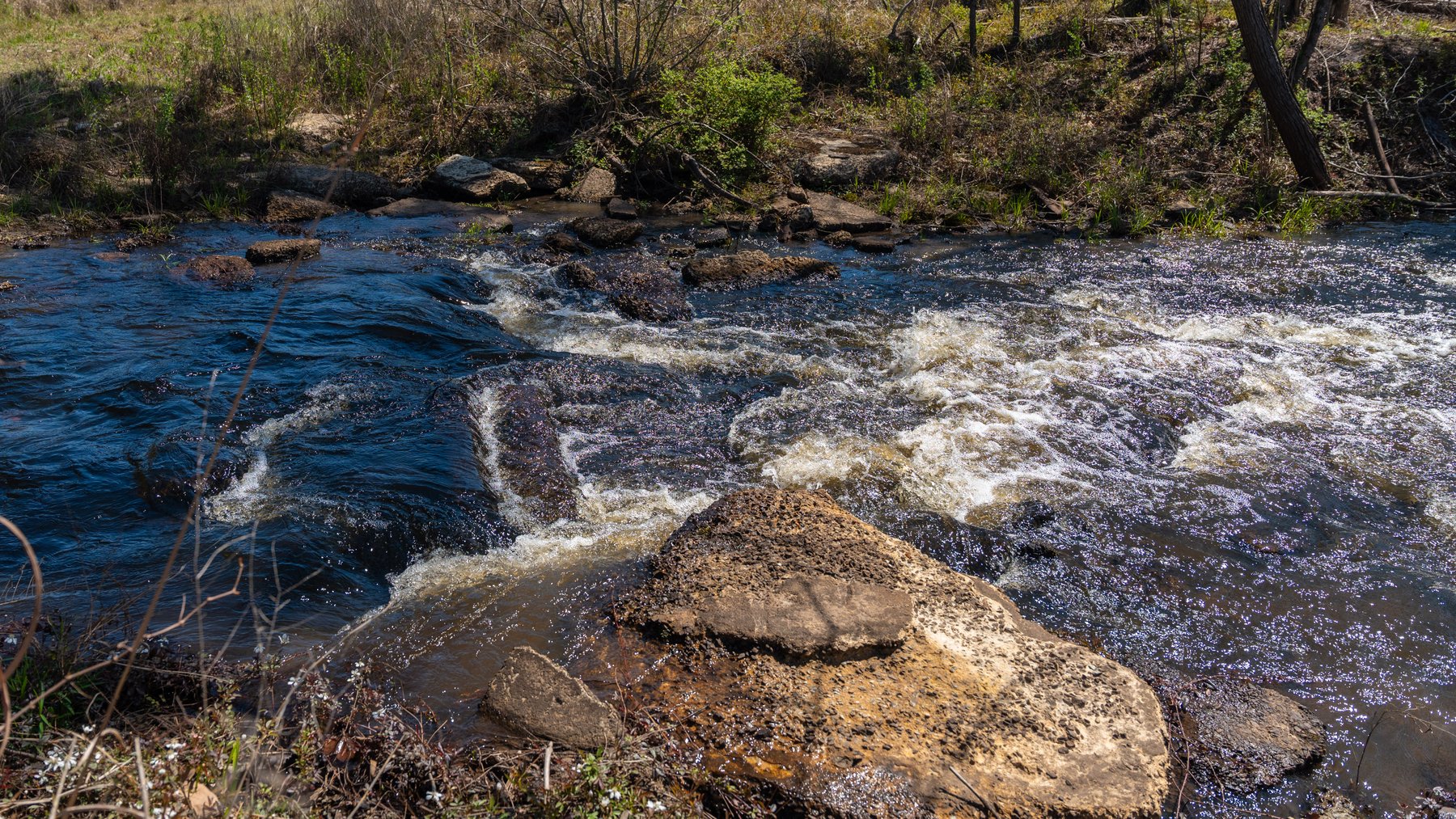 Image for The Sugar Creek Tract - Premier Hunting & Investment Opportunity - 252+/- Acres in Dodge County, Georgia