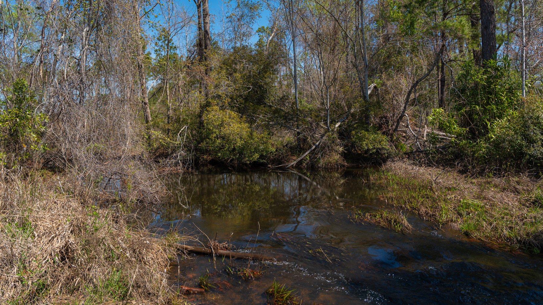 Image for The Sugar Creek Tract - Premier Hunting & Investment Opportunity - 252+/- Acres in Dodge County, Georgia