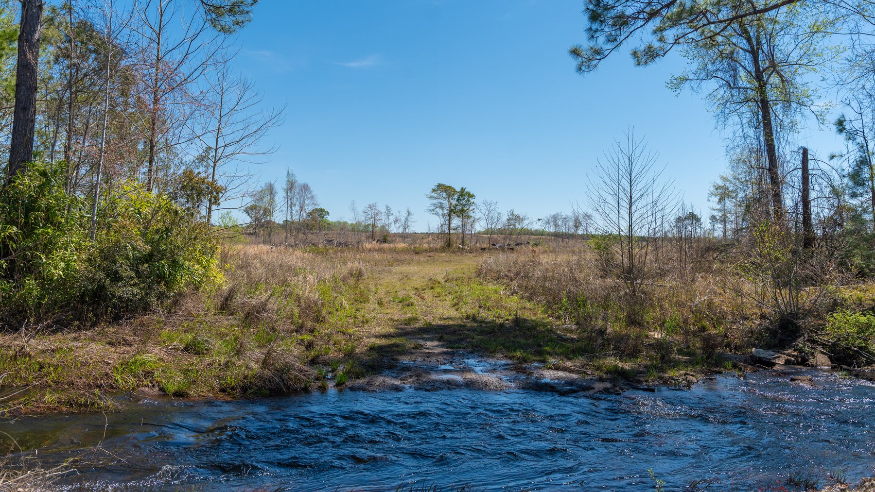 Image for The Sugar Creek Tract - Premier Hunting & Investment Opportunity - 252+/- Acres in Dodge County, Georgia