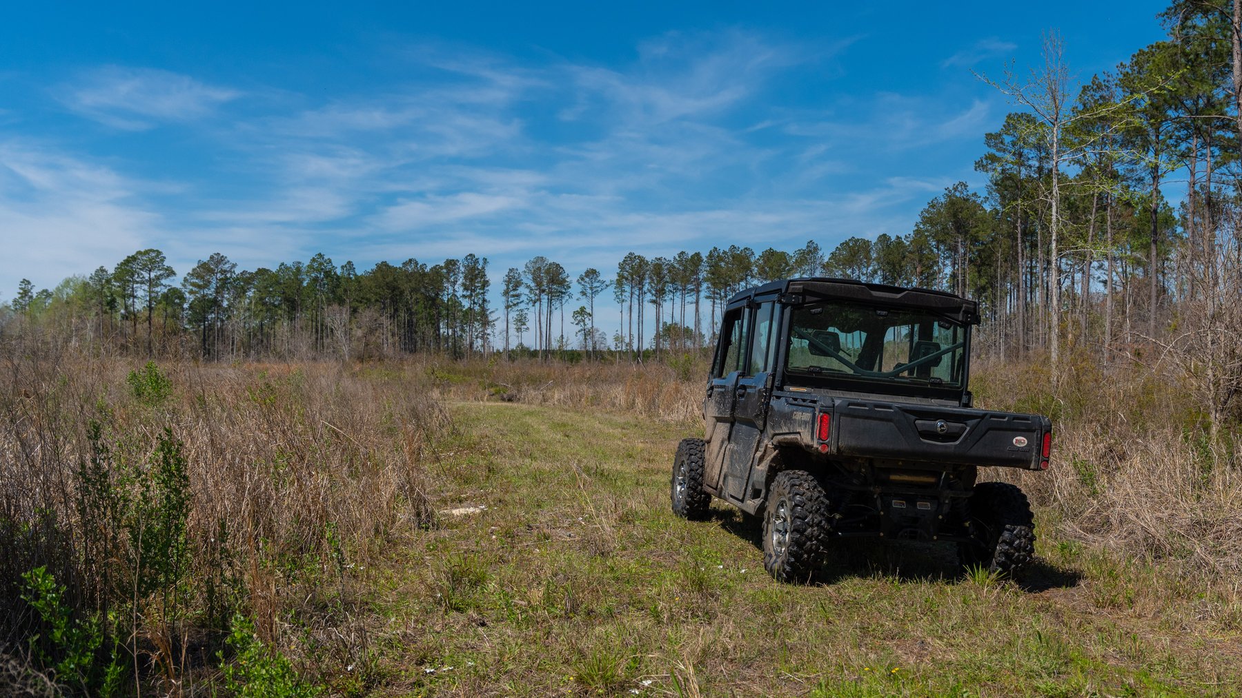 Image for The Sugar Creek Tract - Premier Hunting & Investment Opportunity - 252+/- Acres in Dodge County, Georgia