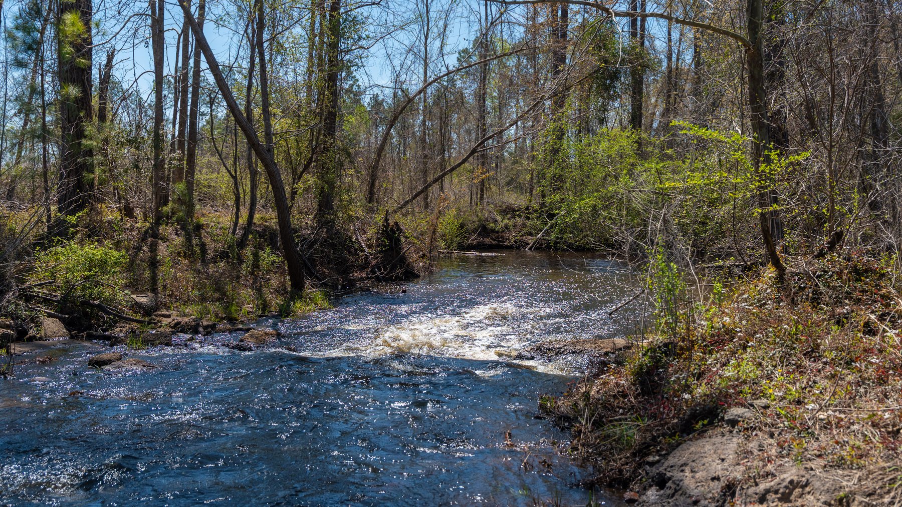 Image for The Sugar Creek Tract - Premier Hunting & Investment Opportunity - 252+/- Acres in Dodge County, Georgia