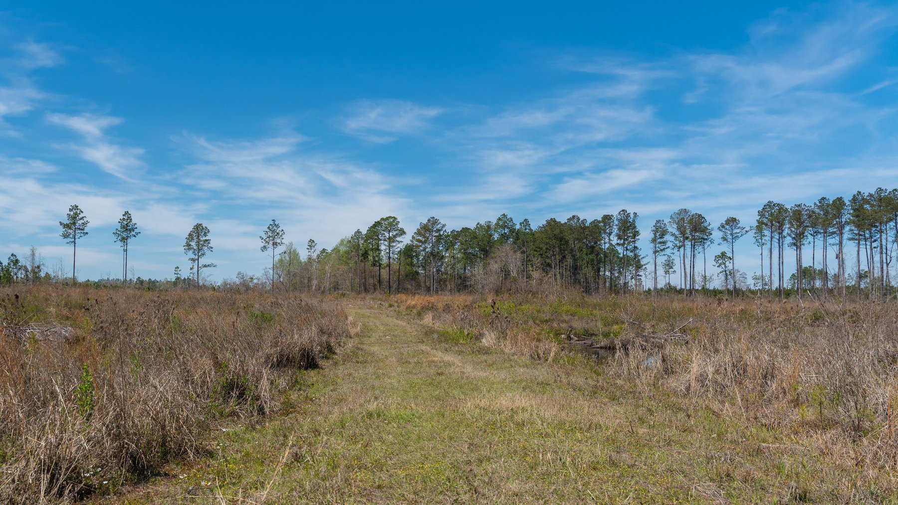Image for The Sugar Creek Tract - Premier Hunting & Investment Opportunity - 252+/- Acres in Dodge County, Georgia