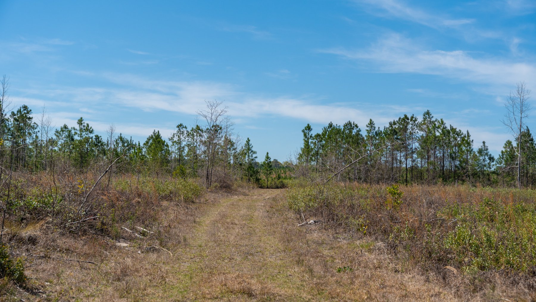 Image for The Sugar Creek Tract - Premier Hunting & Investment Opportunity - 252+/- Acres in Dodge County, Georgia