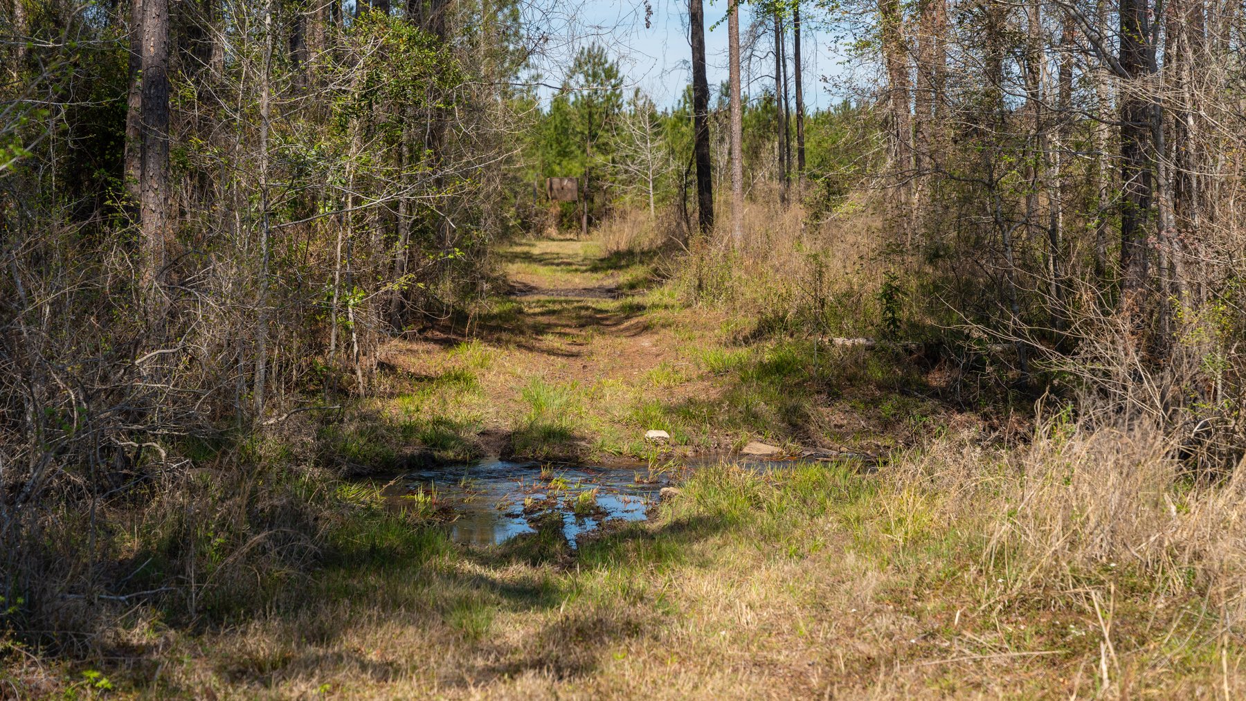 Image for The Sugar Creek Tract - Premier Hunting & Investment Opportunity - 252+/- Acres in Dodge County, Georgia