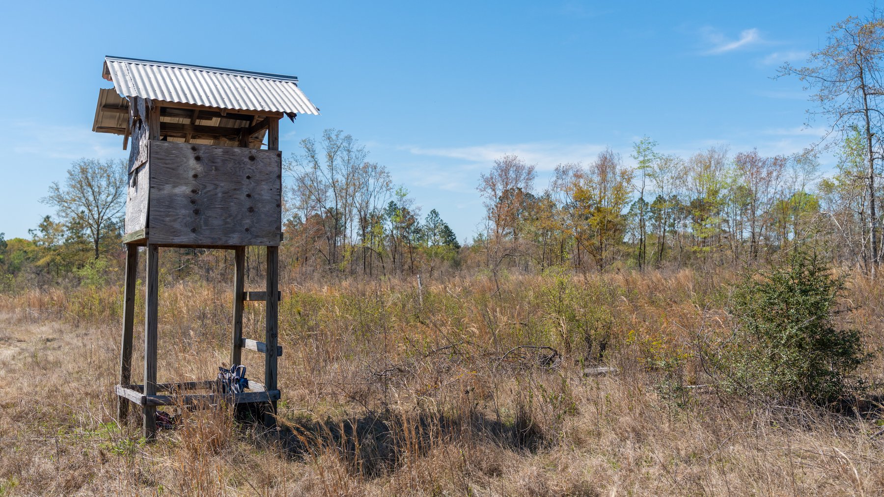 Image for The Sugar Creek Tract - Premier Hunting & Investment Opportunity - 252+/- Acres in Dodge County, Georgia