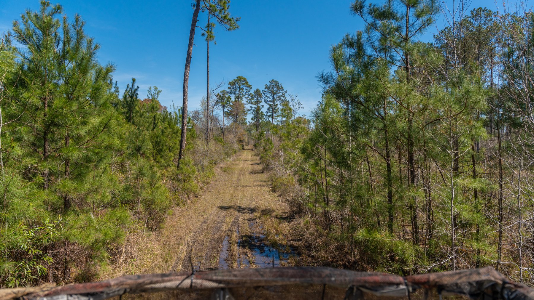 Image for The Sugar Creek Tract - Premier Hunting & Investment Opportunity - 252+/- Acres in Dodge County, Georgia
