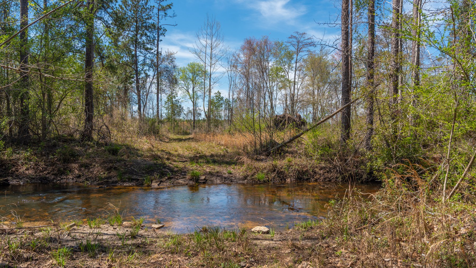 Image for The Sugar Creek Tract - Premier Hunting & Investment Opportunity - 252+/- Acres in Dodge County, Georgia