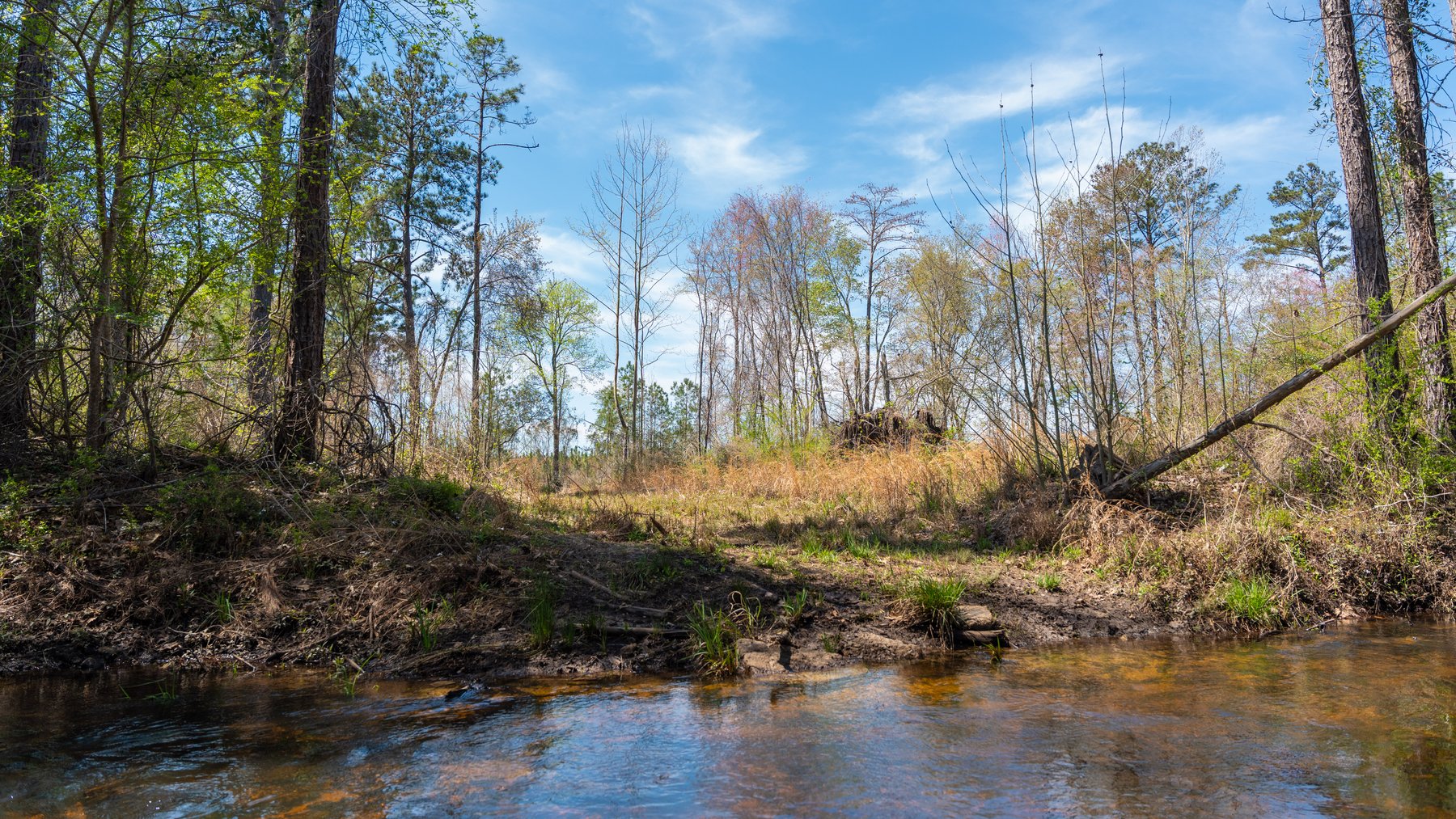 Image for The Sugar Creek Tract - Premier Hunting & Investment Opportunity - 252+/- Acres in Dodge County, Georgia