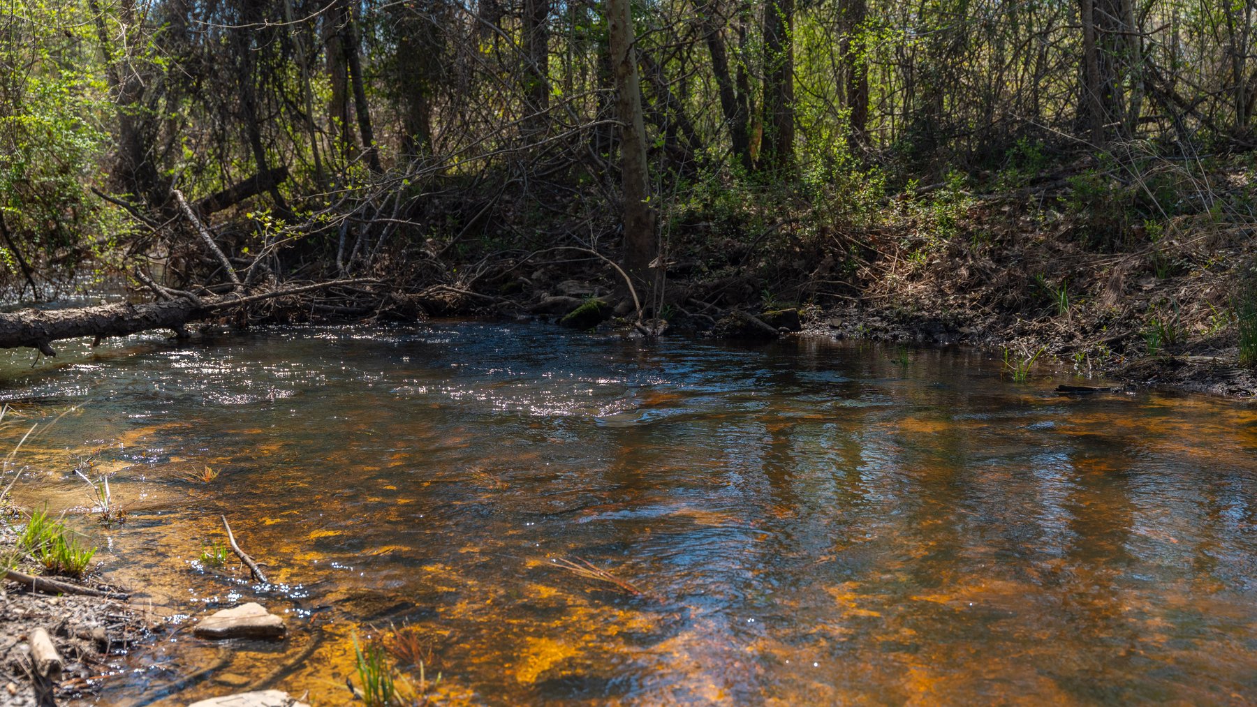 Image for The Sugar Creek Tract - Premier Hunting & Investment Opportunity - 252+/- Acres in Dodge County, Georgia