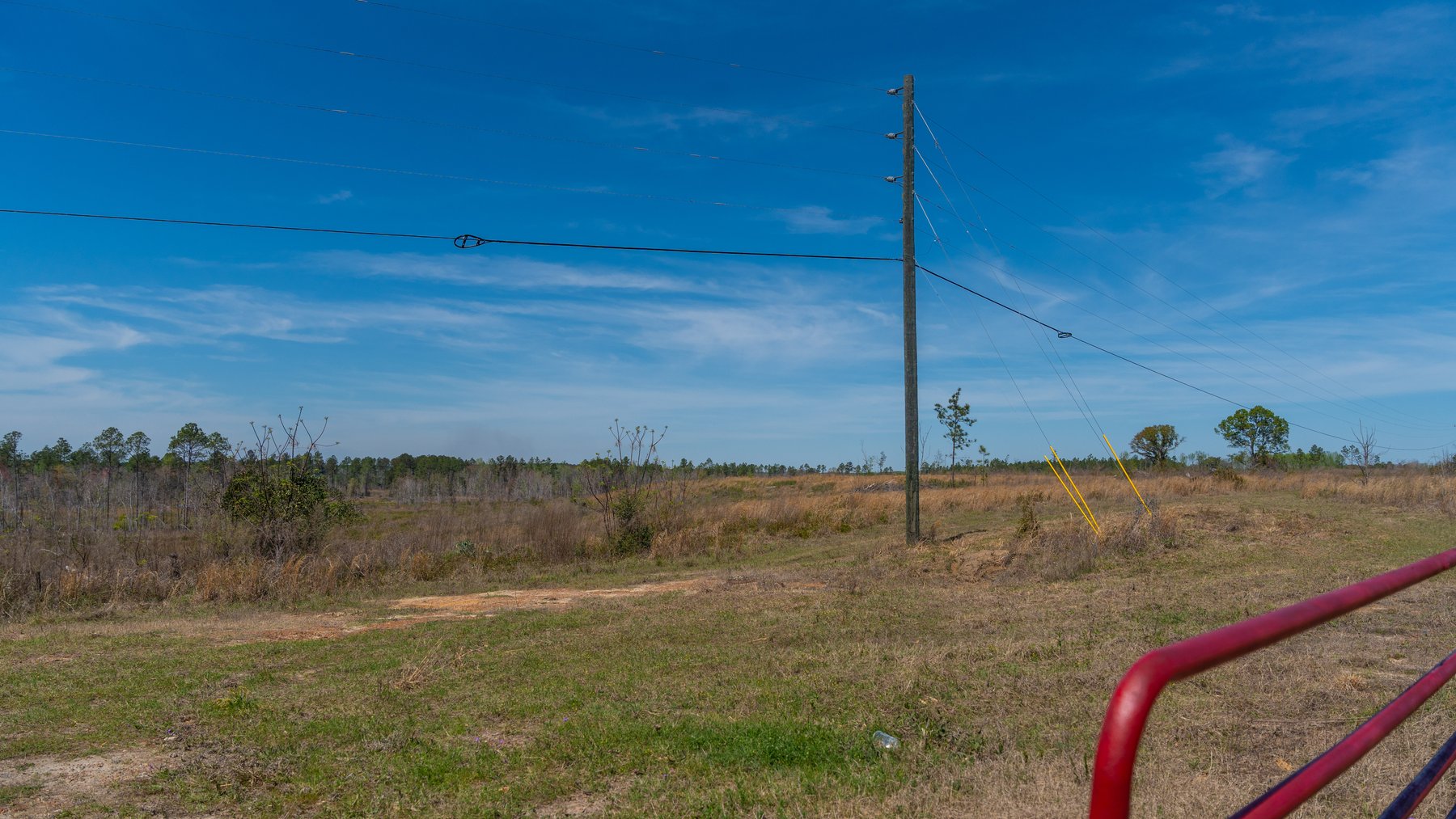 Image for The Sugar Creek Tract - Premier Hunting & Investment Opportunity - 252+/- Acres in Dodge County, Georgia