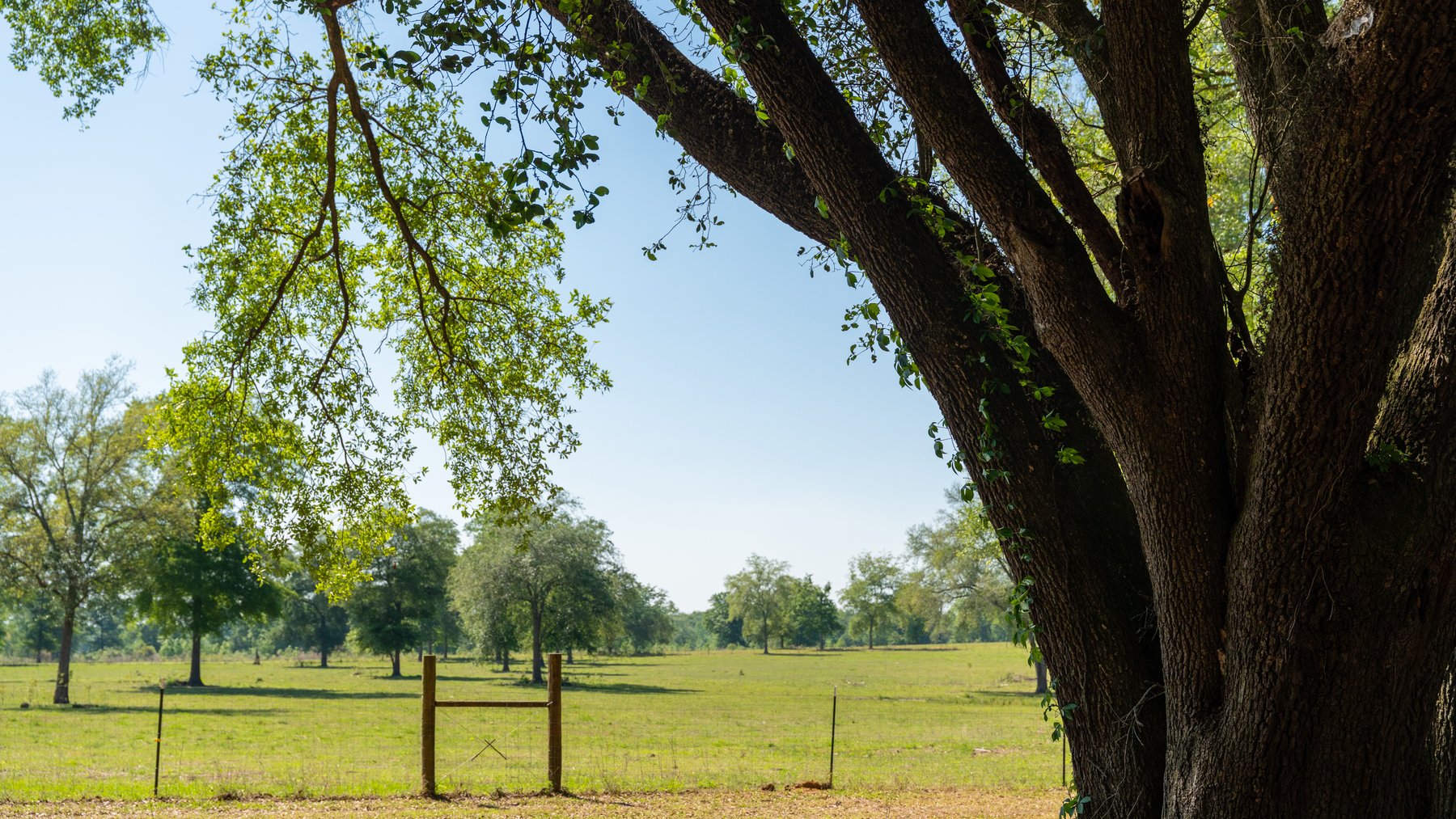 Image for 1,326 +/- Acres – Quail Crest Farms - Custom Lodge w/ Irrigated Acreage - Recreational Investment Opportunity