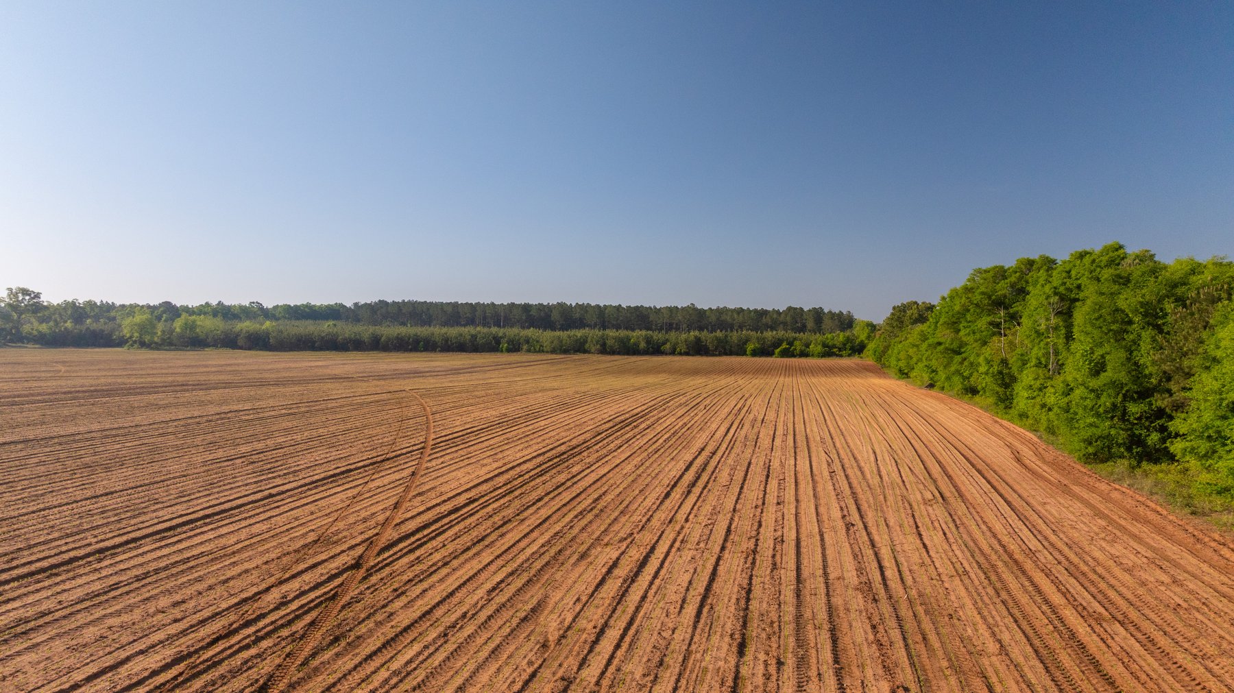 Image for Land Auction - 148+/- Total Acres - Irrigated Row Crop Farm