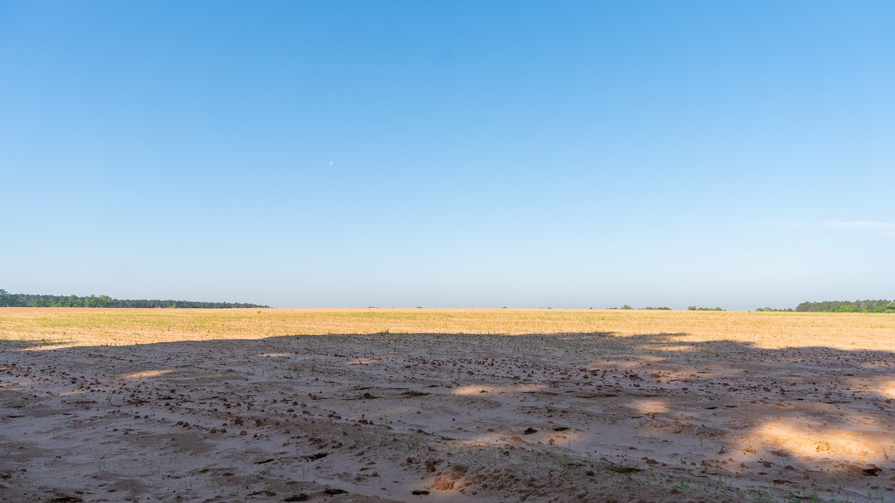 Image for Land Auction - 148+/- Total Acres - Irrigated Row Crop Farm