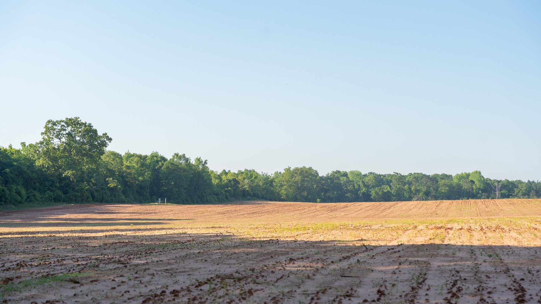 Image for Land Auction - 148+/- Total Acres - Irrigated Row Crop Farm