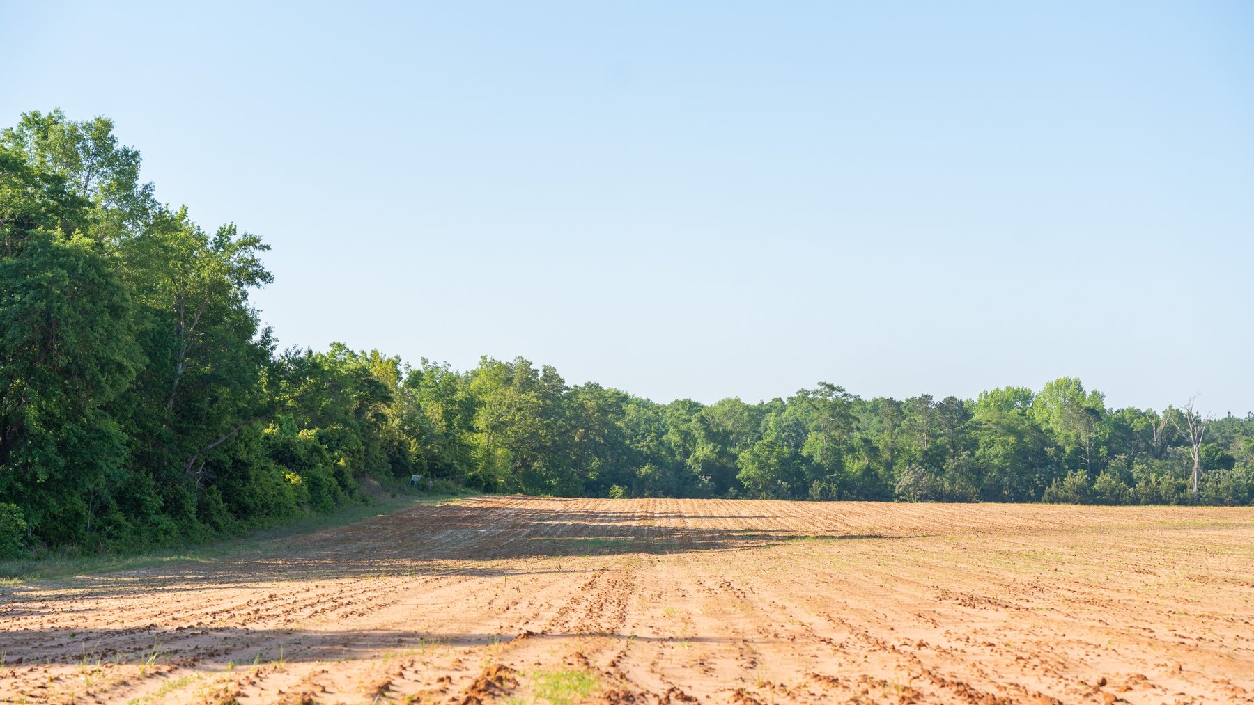 Image for Land Auction - 148+/- Total Acres - Irrigated Row Crop Farm