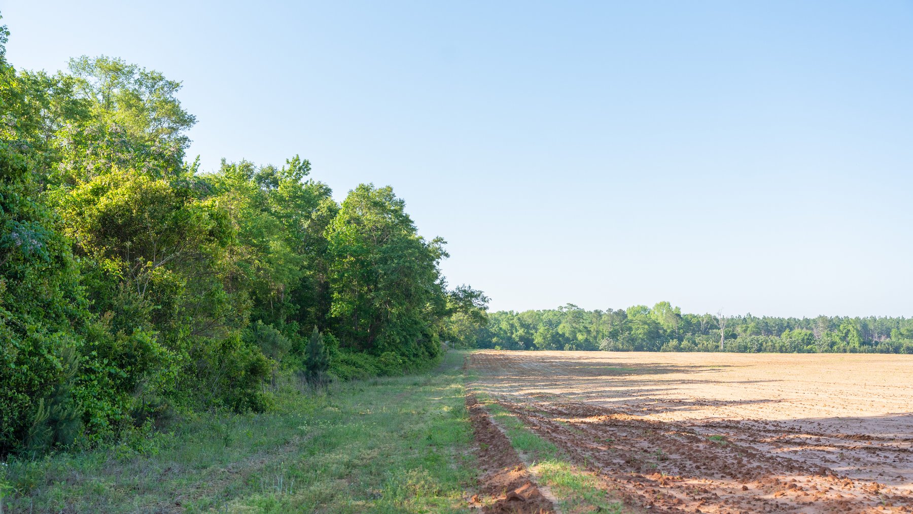 Image for Land Auction - 148+/- Total Acres - Irrigated Row Crop Farm