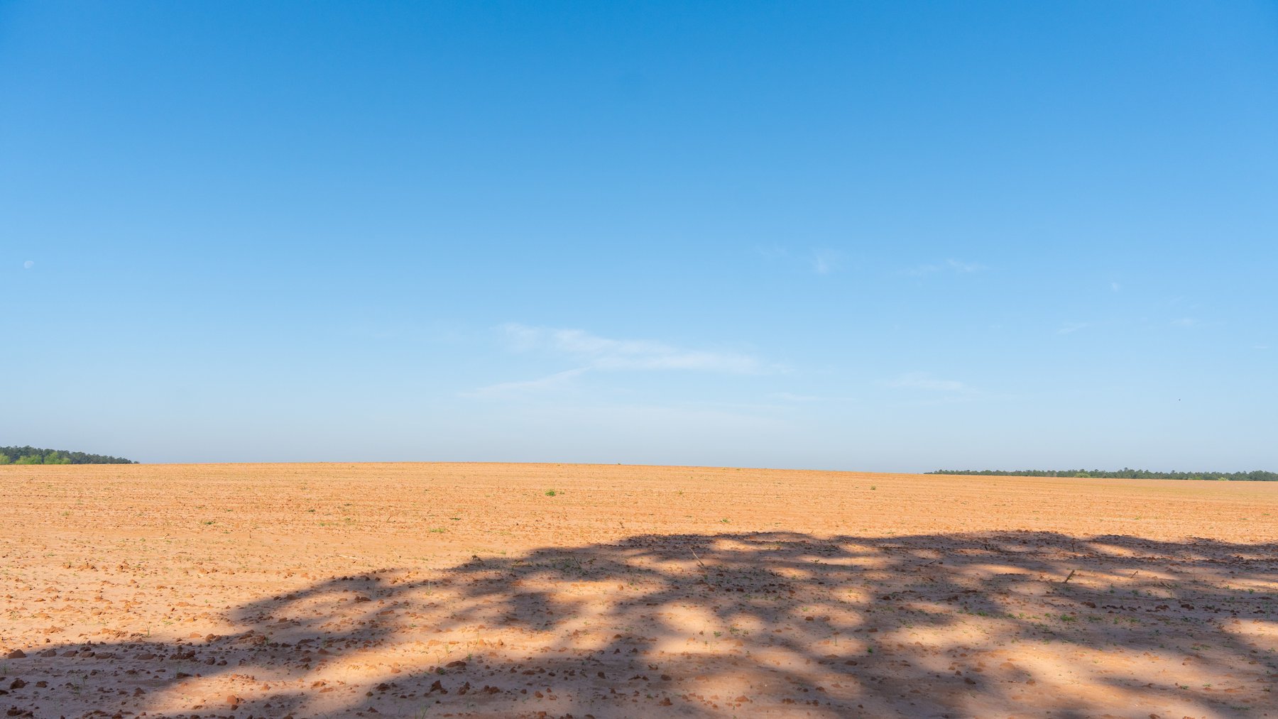 Image for Land Auction - 148+/- Total Acres - Irrigated Row Crop Farm