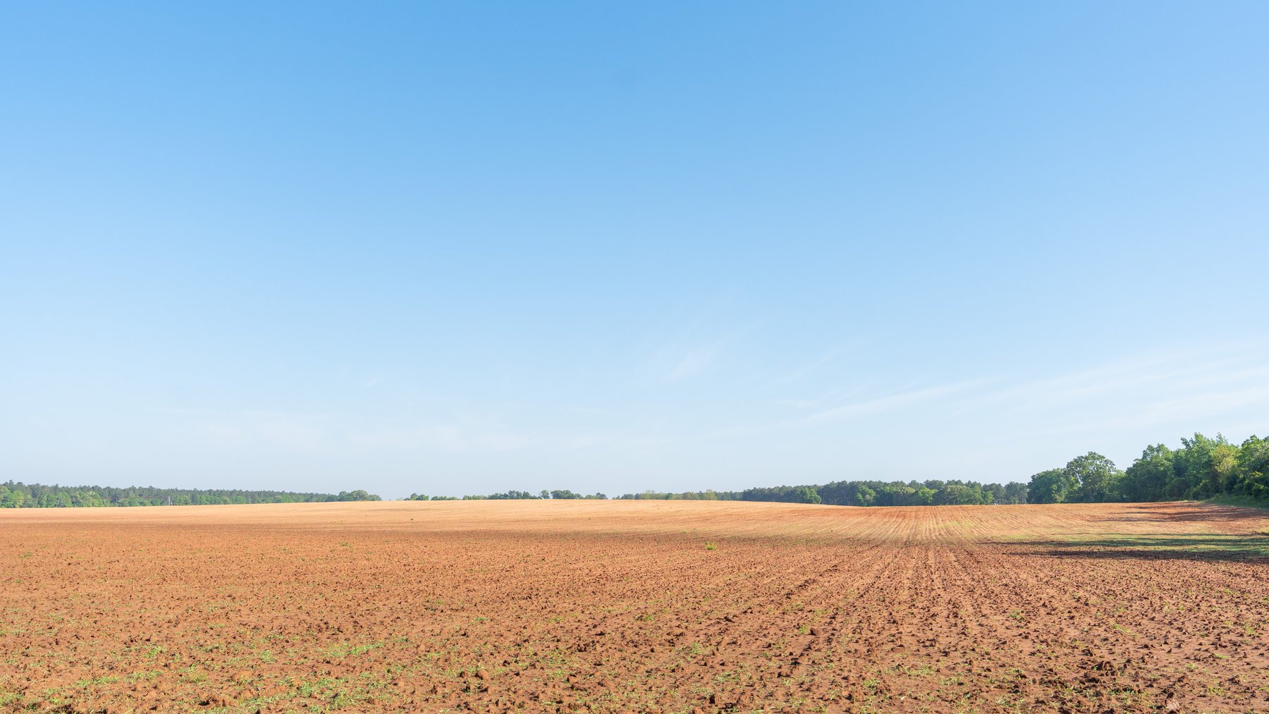 Image for Land Auction - 148+/- Total Acres - Irrigated Row Crop Farm