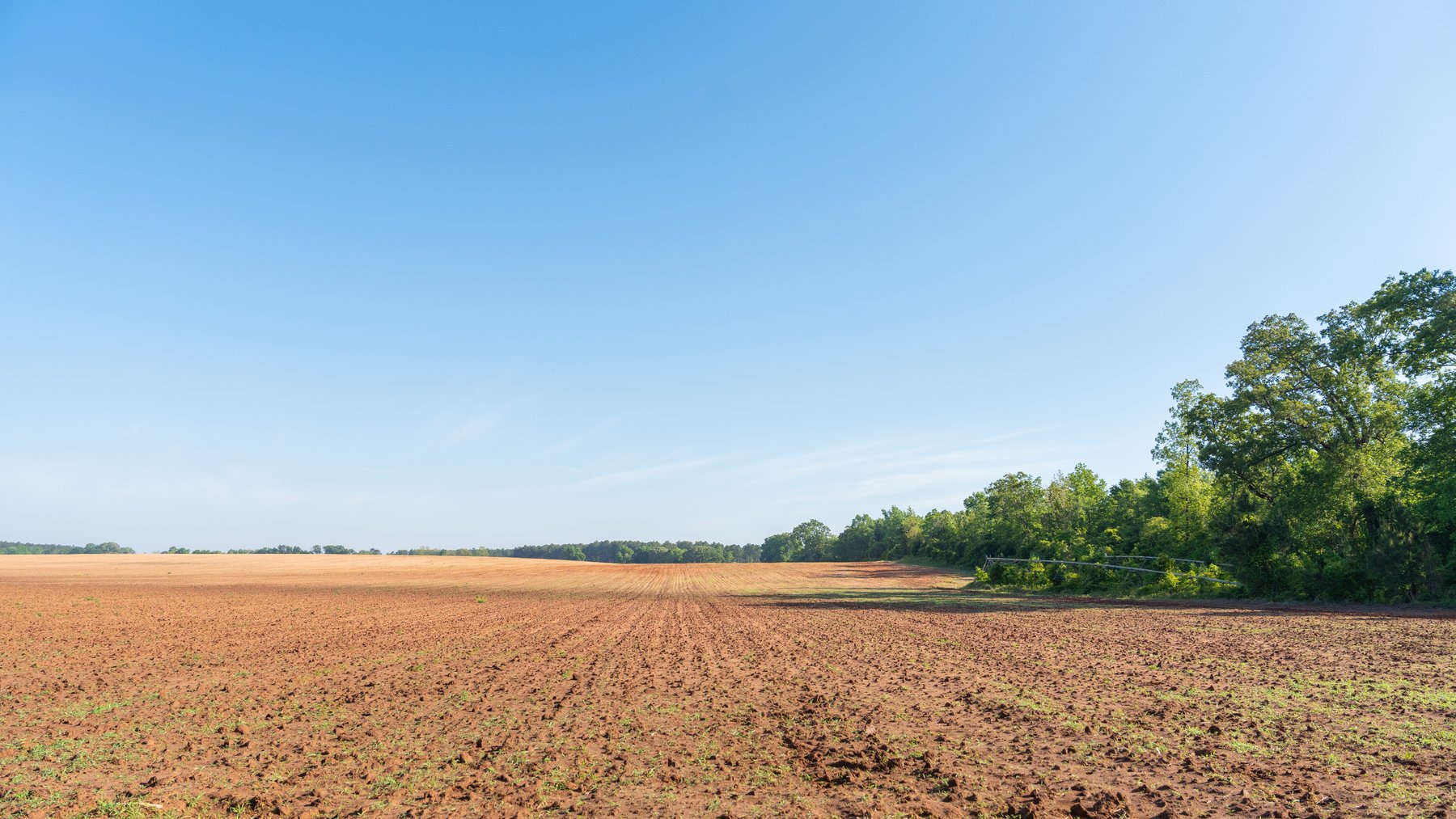 Image for Land Auction - 148+/- Total Acres - Irrigated Row Crop Farm