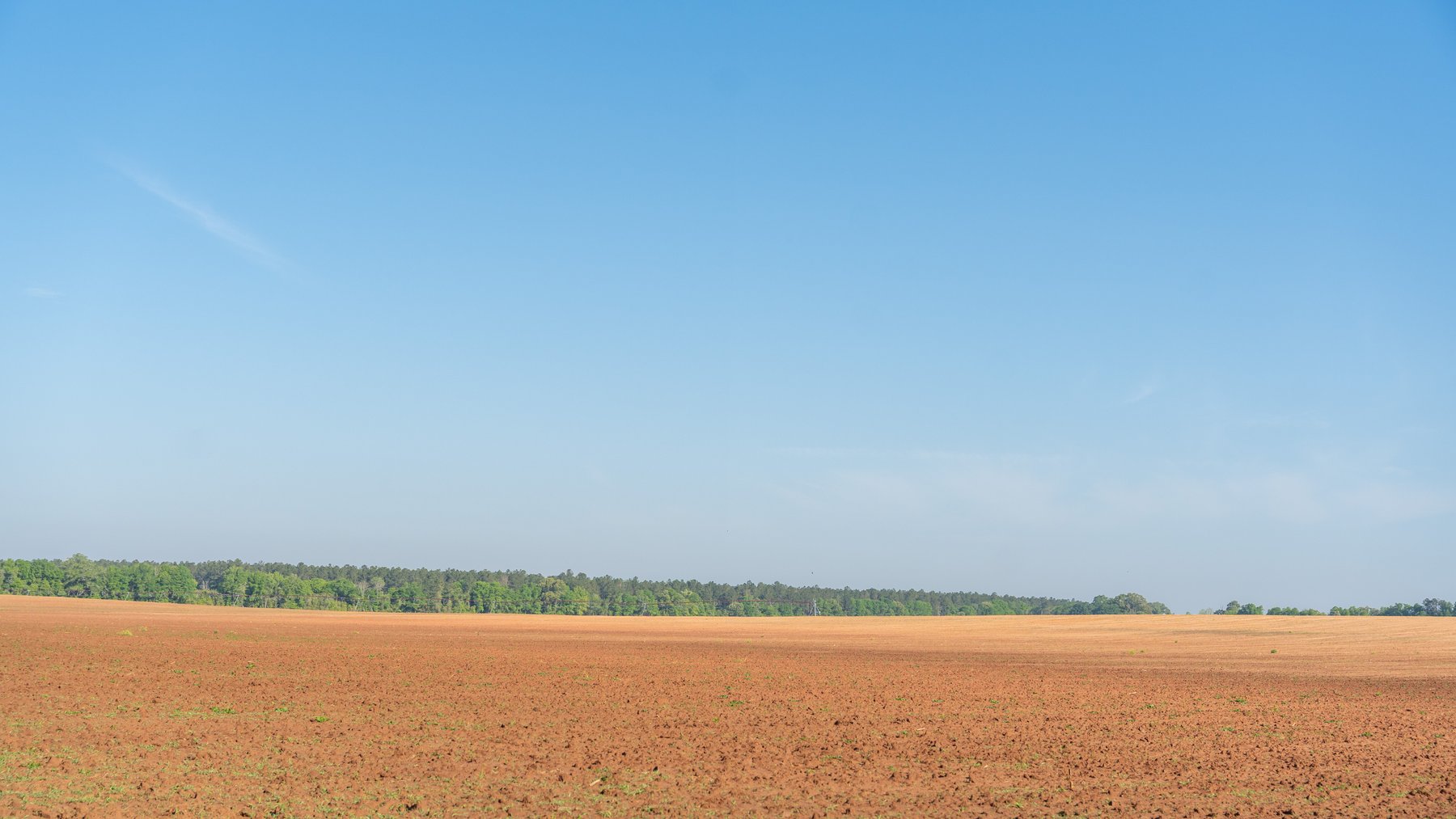 Image for Land Auction - 148+/- Total Acres - Irrigated Row Crop Farm