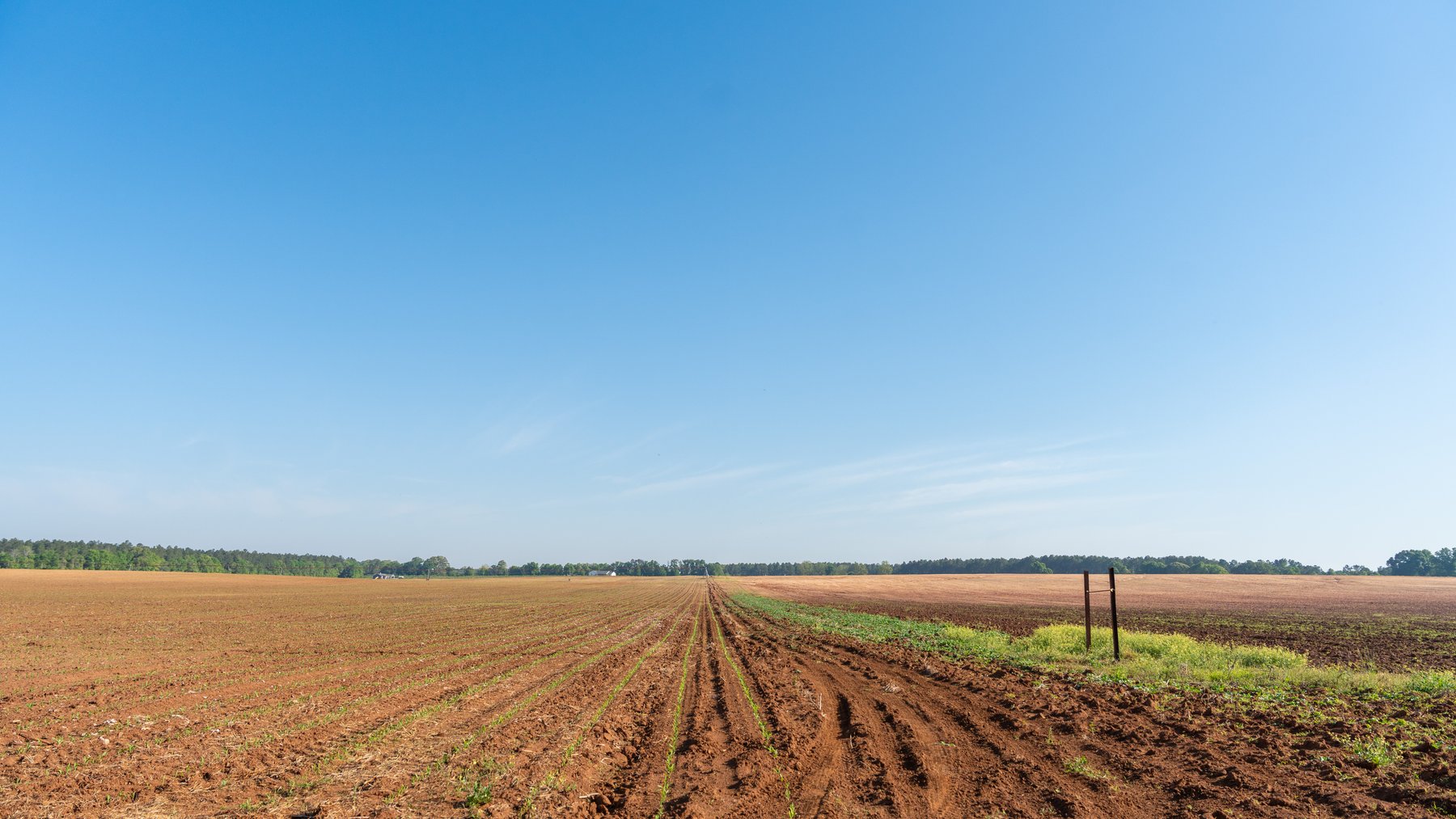 Image for Land Auction - 148+/- Total Acres - Irrigated Row Crop Farm