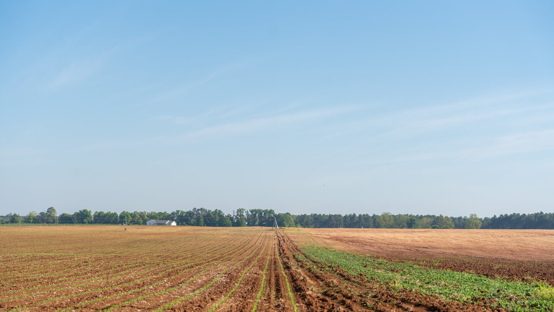 Image for Land Auction - 148+/- Total Acres - Irrigated Row Crop Farm