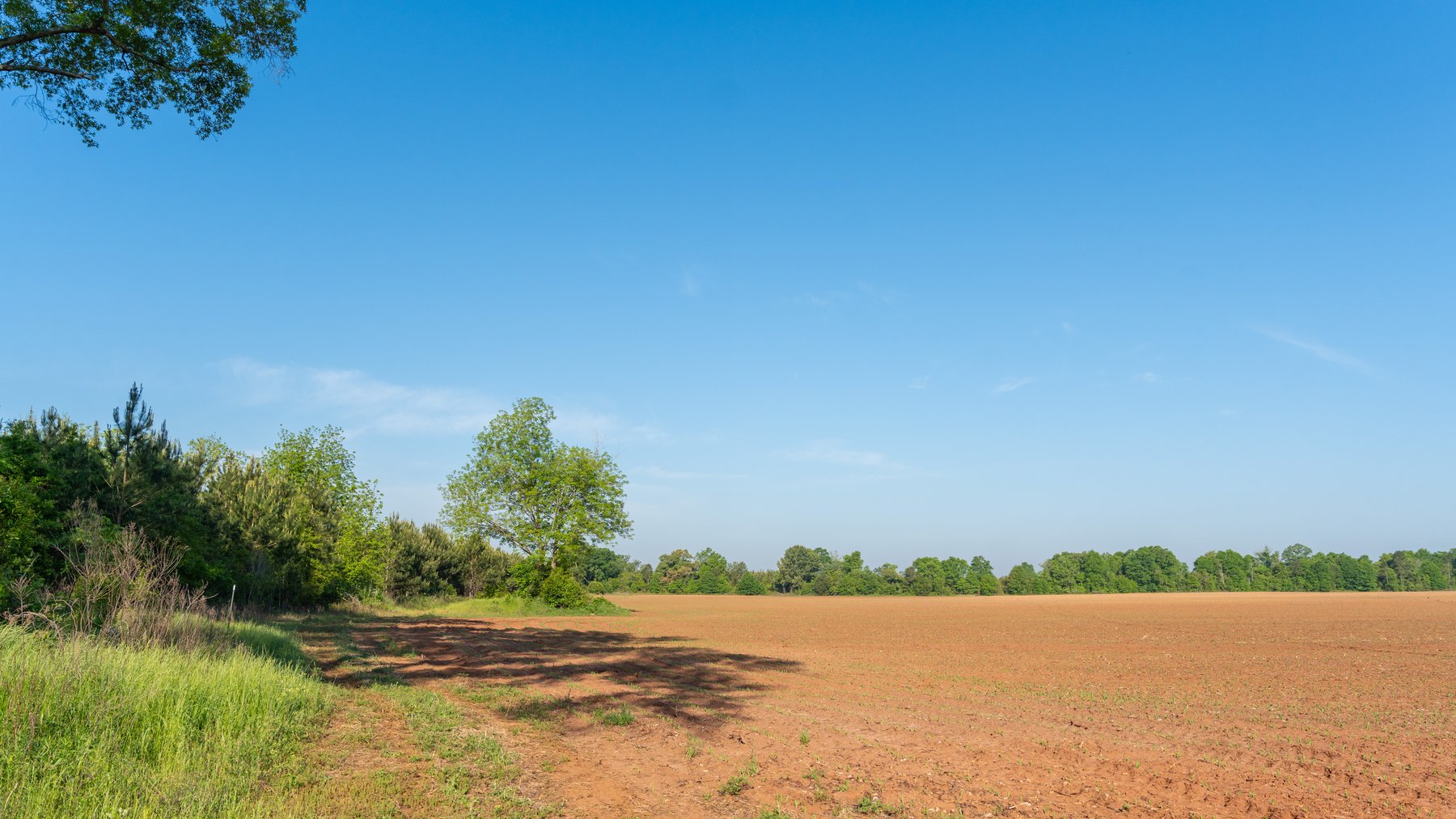 Image for Land Auction - 148+/- Total Acres - Irrigated Row Crop Farm