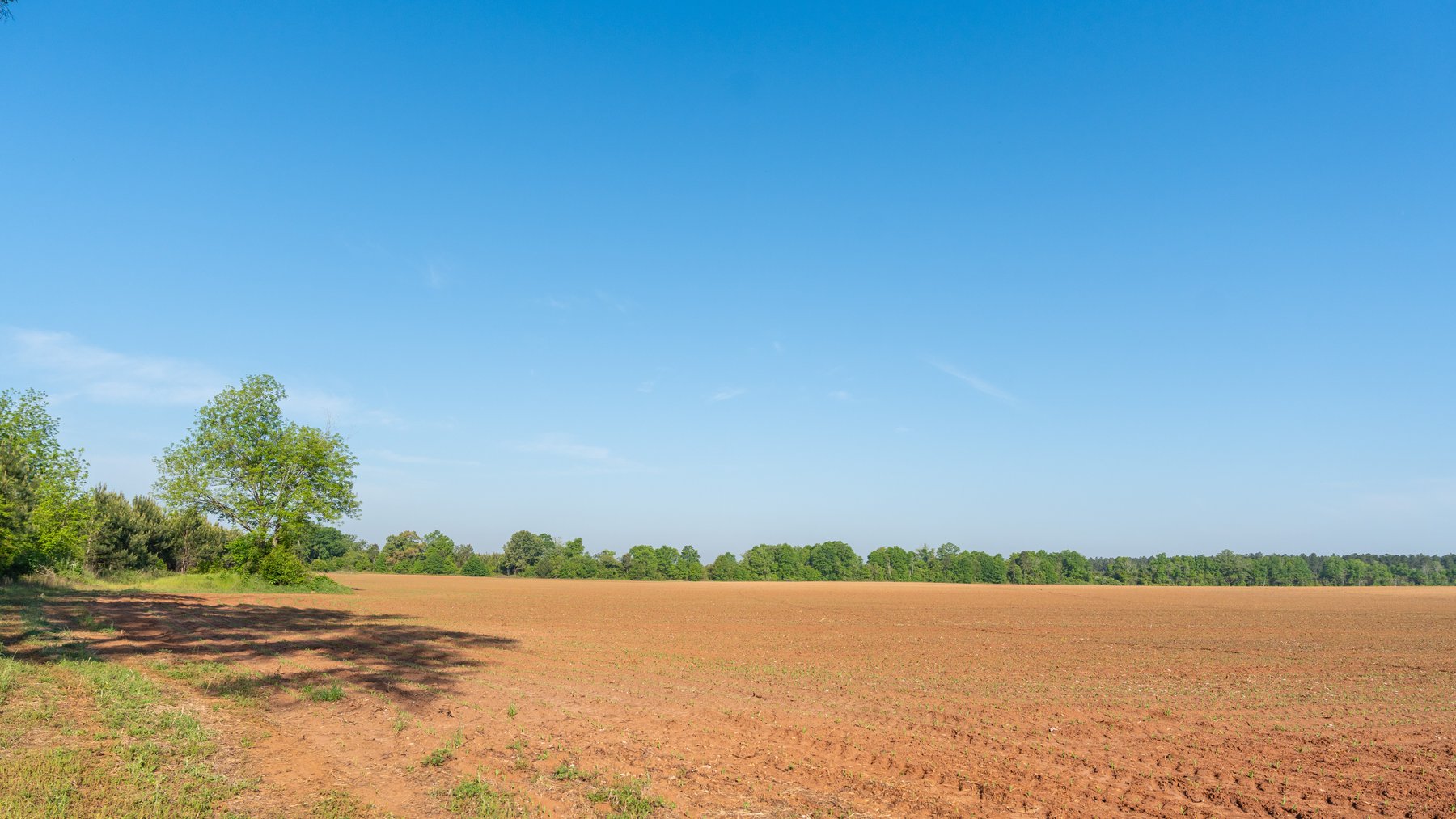 Image for Land Auction - 148+/- Total Acres - Irrigated Row Crop Farm
